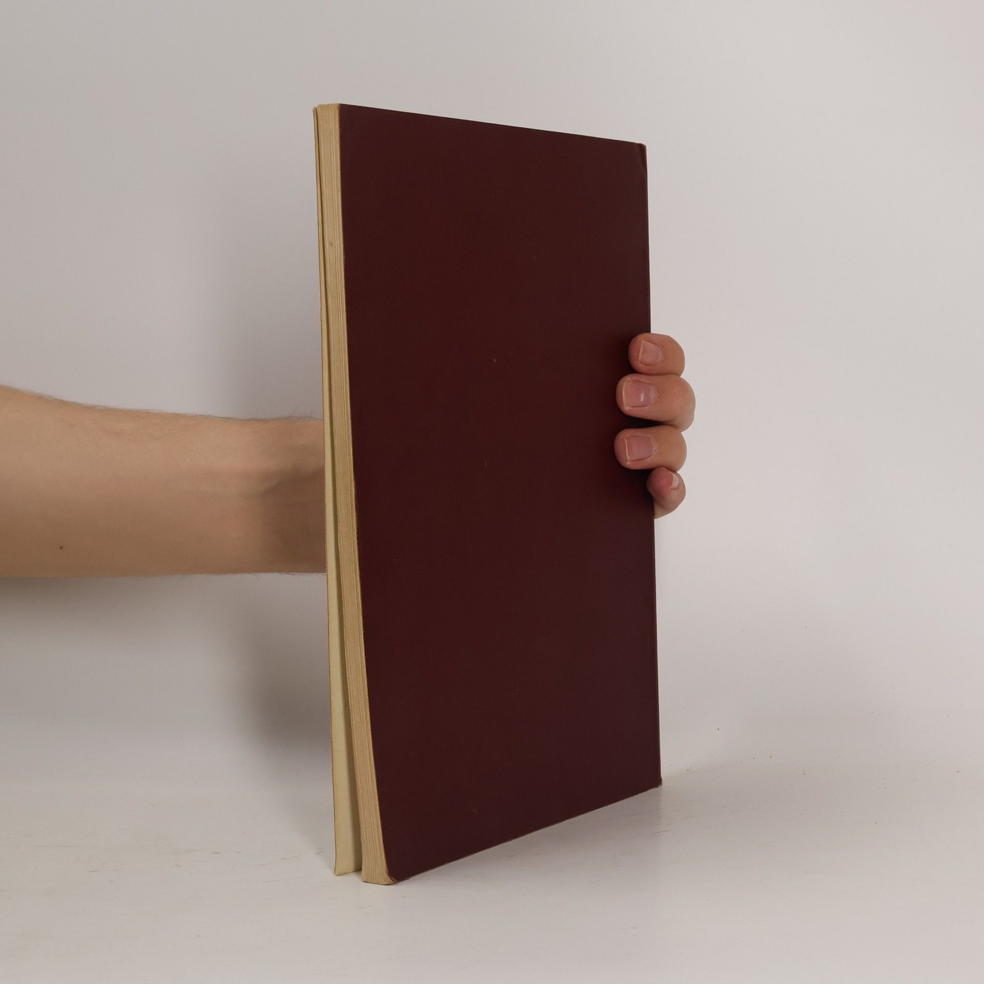 H. Knackfuß Künstler-Monographien. Grünewald