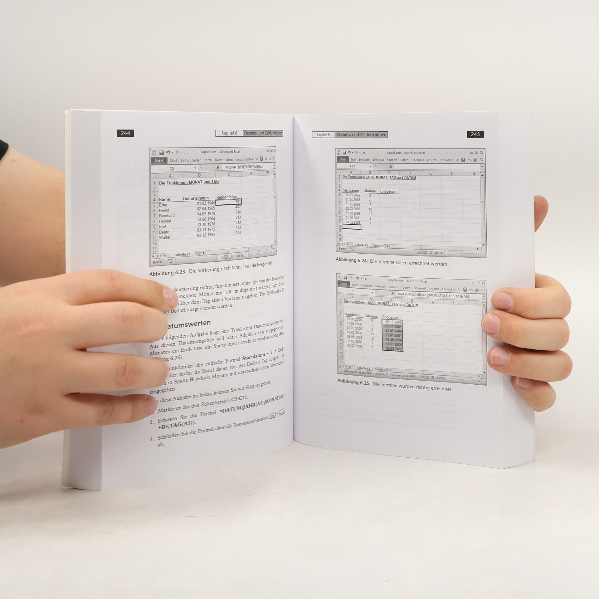 Bernd Held bhv Taschenbuch: Microsoft Office Excel 2010