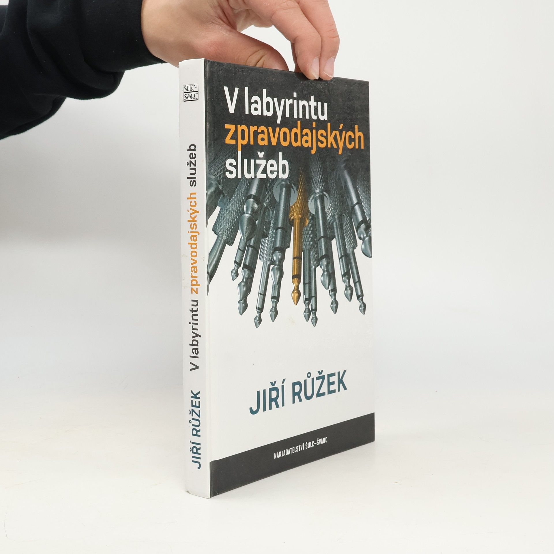Jiří Růžek V labyrintu zpravodajských služeb