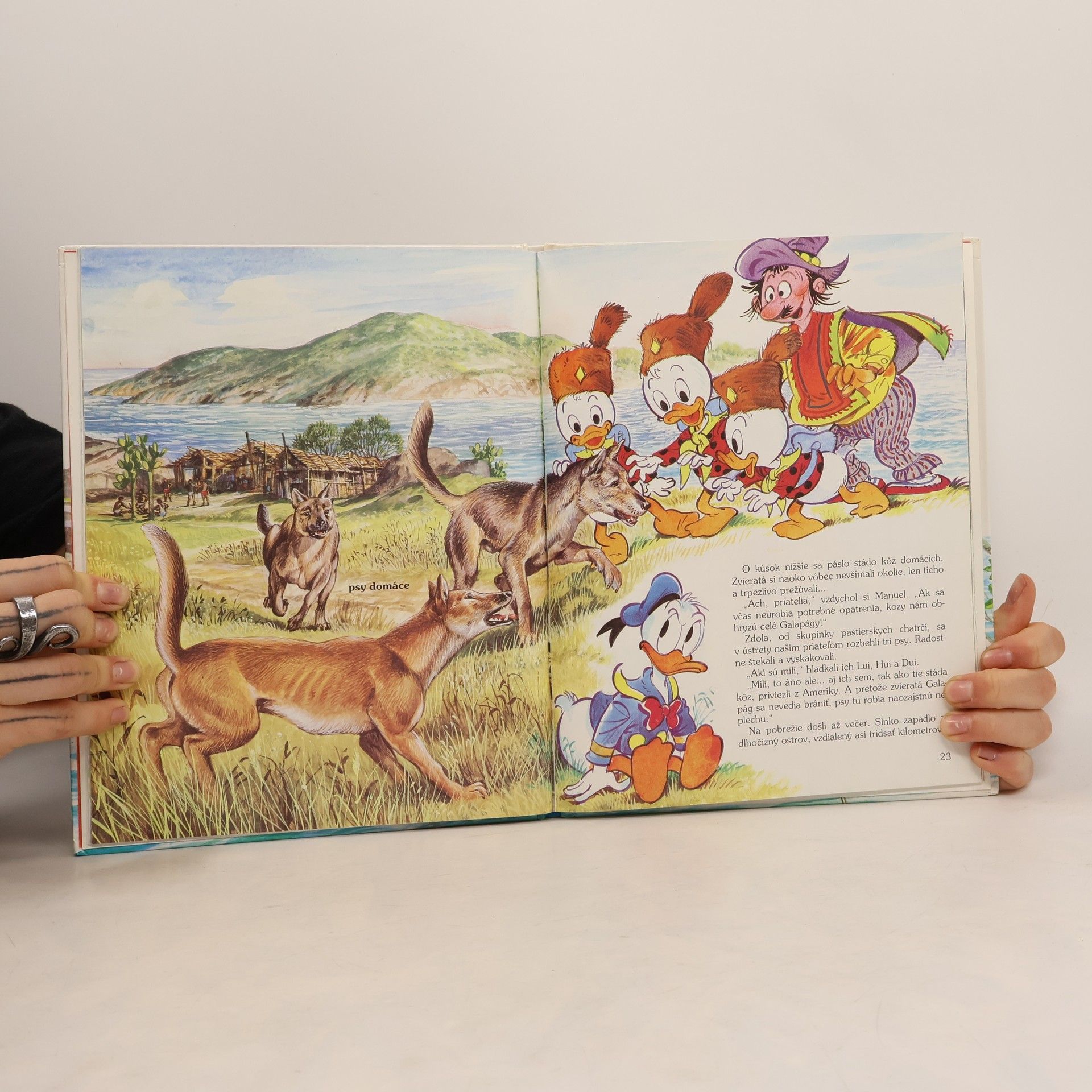 Walt Disney Kráľovstvo leguánov