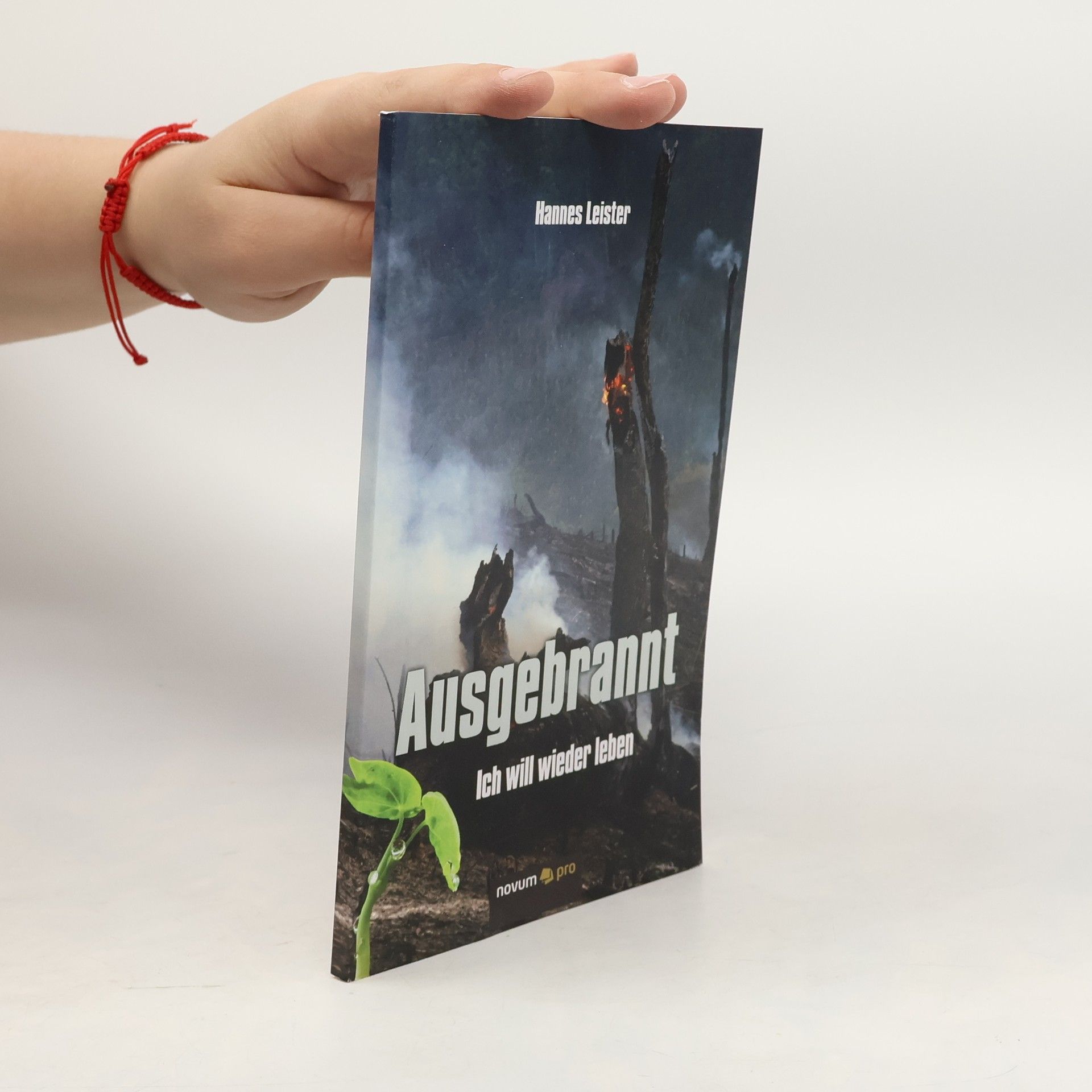 Hannes Leister Ausgebrannt