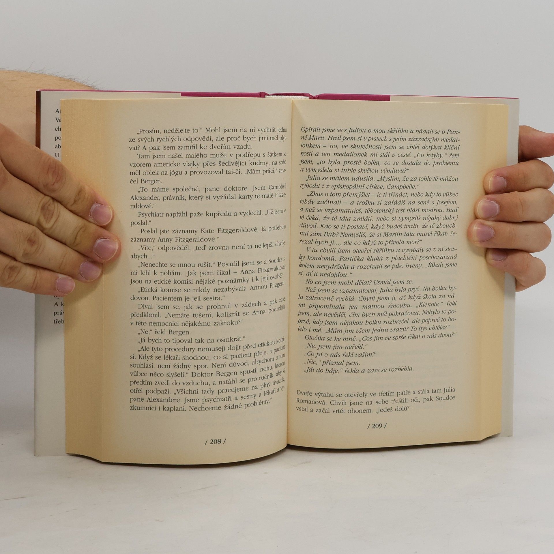 Jodi Picoult Je to i můj život