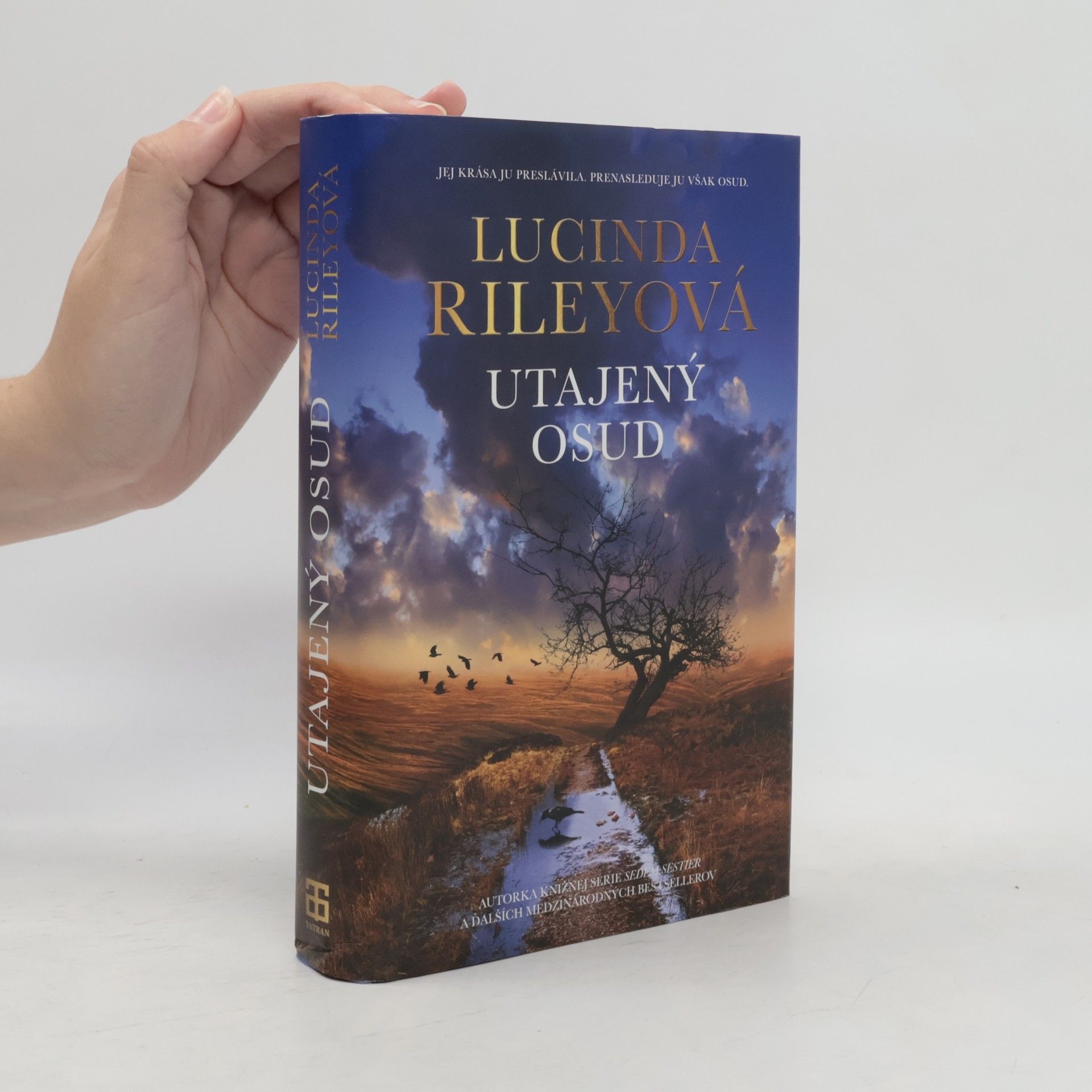 Lucinda Riley Utajený osud
