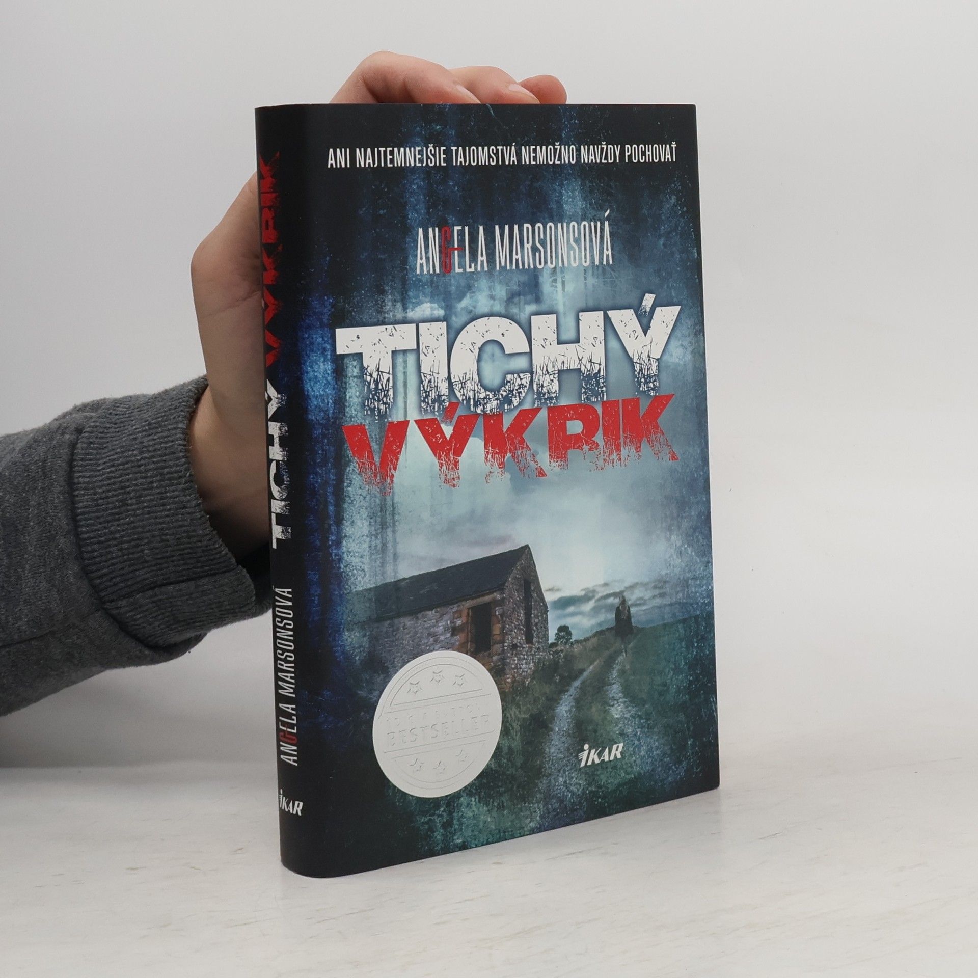 Angela Marsons Tichý výkrik