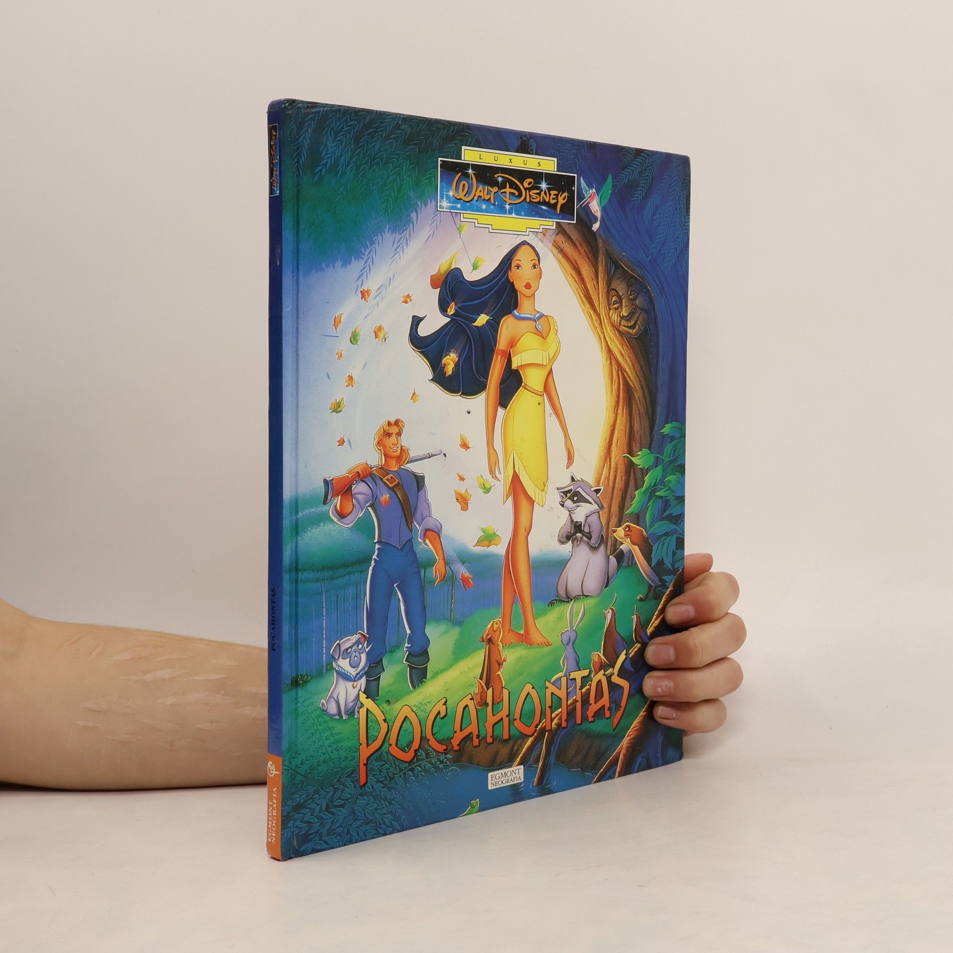Walt Disney Pocahontas