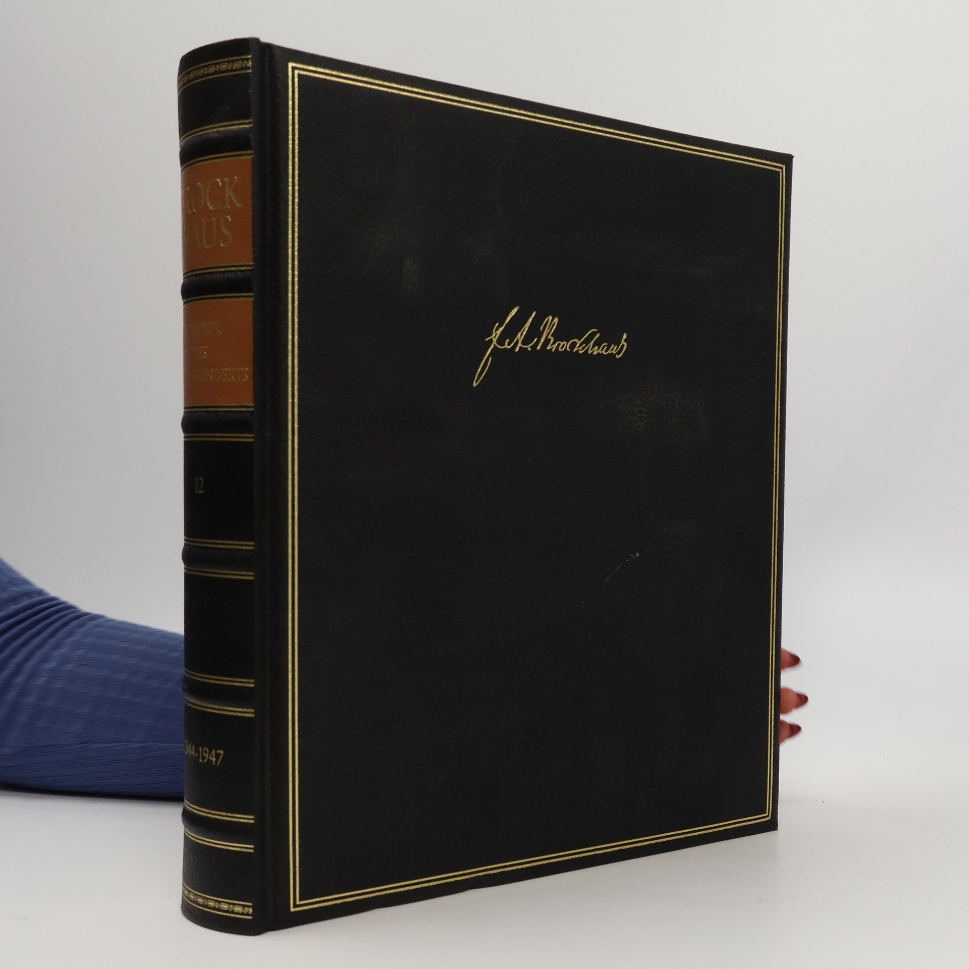 Brockhaus Deutsche Geschichte von den Anfängen bis zur Gegenwart 12