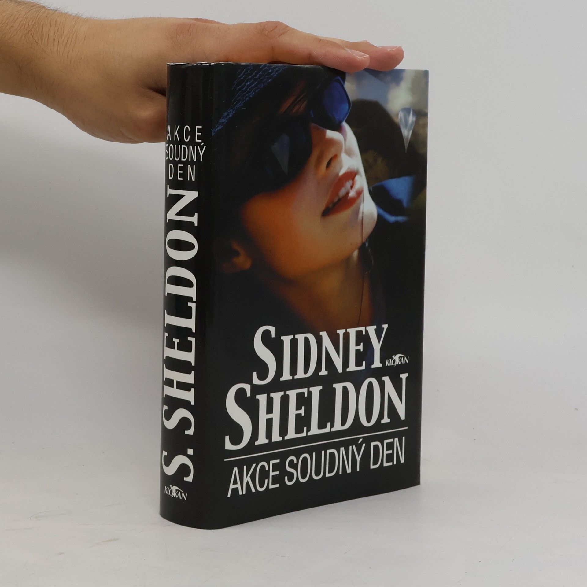 Sidney Sheldon Akce Soudný den