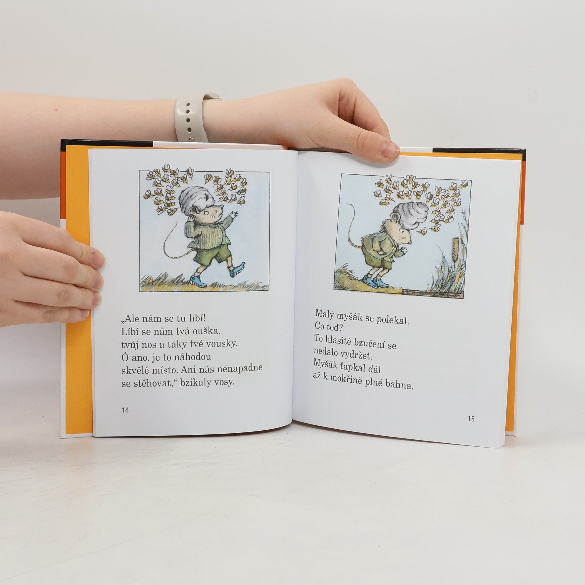 Arnold Lobel Myška a pohádková polívka