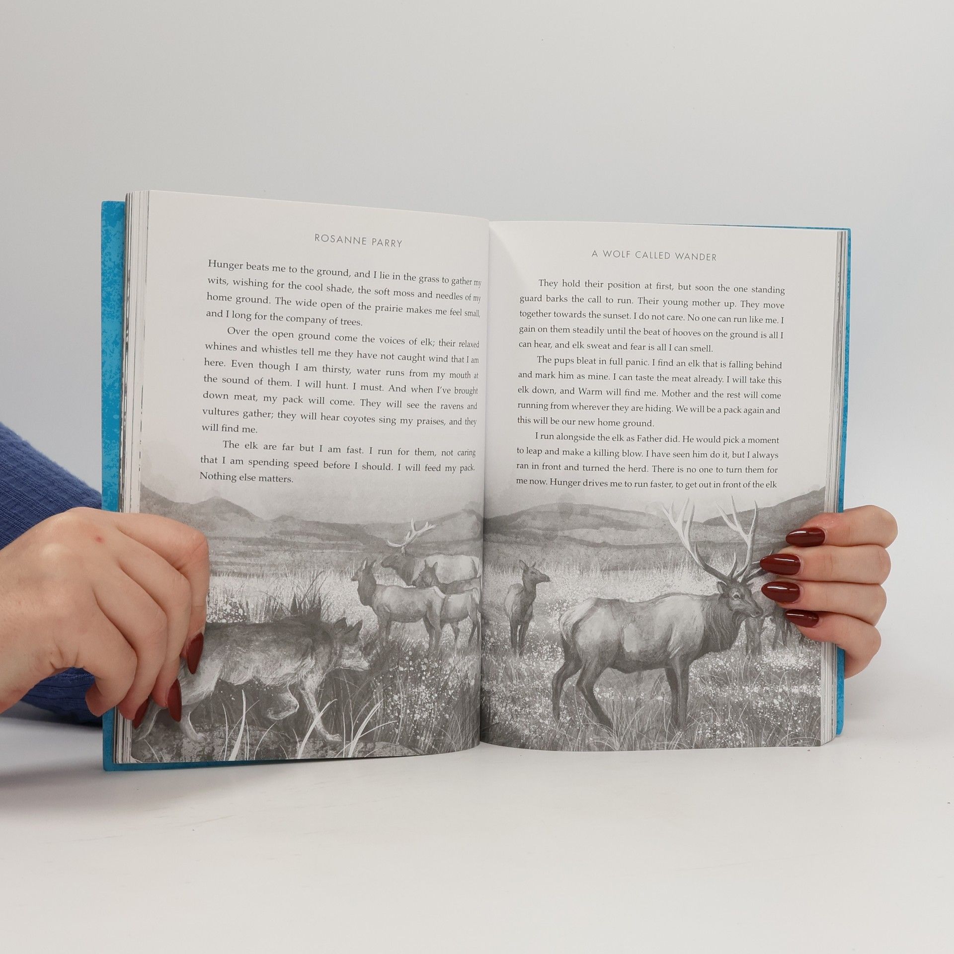 Rosanne Parry A Wolf Called Wander