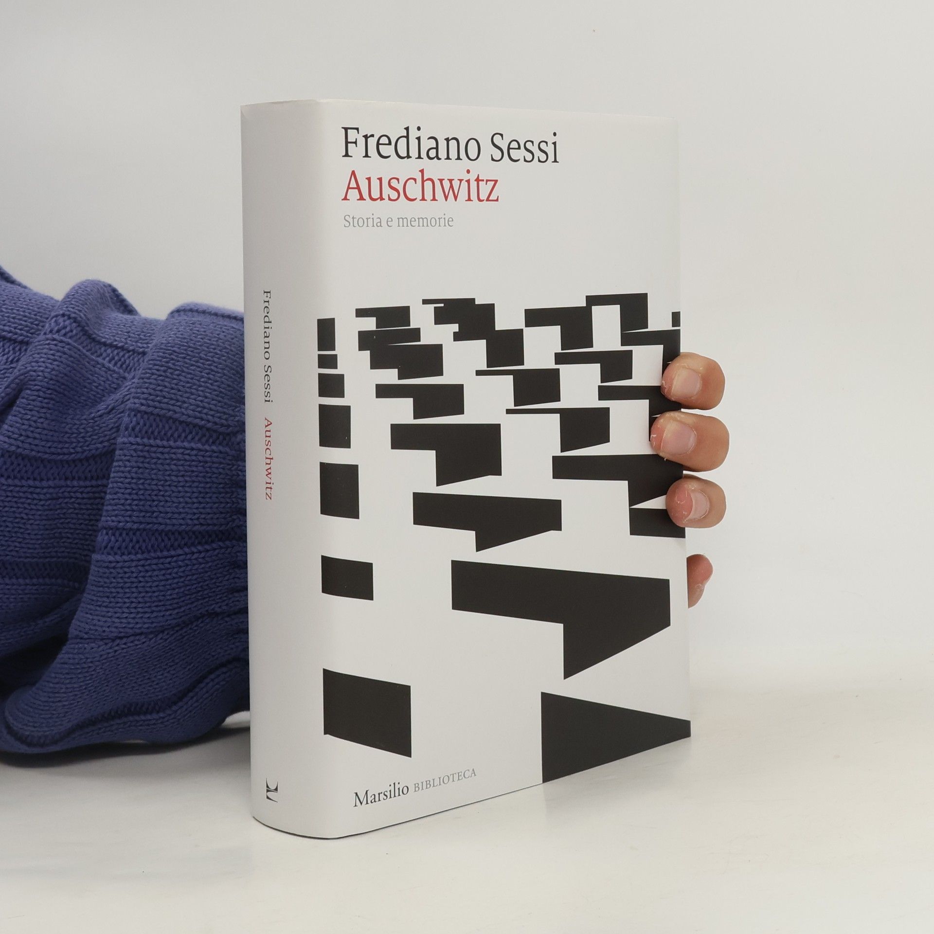 Enrico Mottinelli Biblioteca: Auschwitz. Storia e memorie