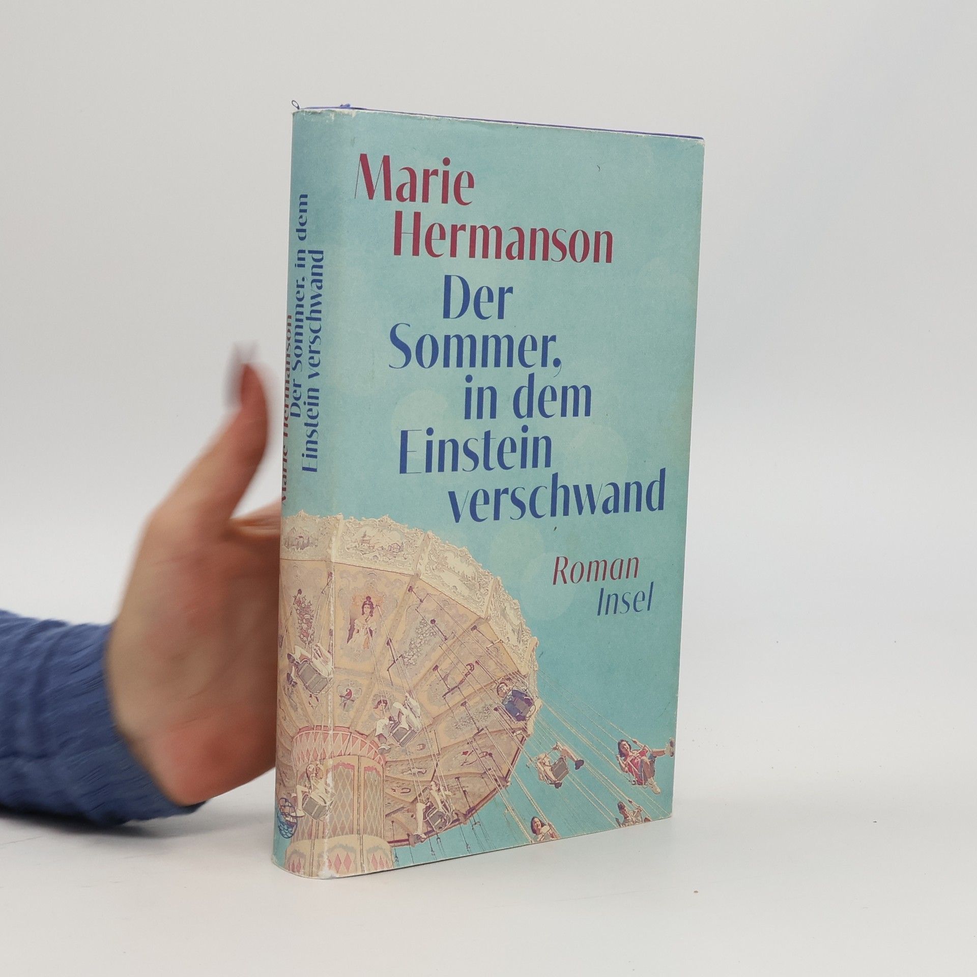 Marie Hermanson Der Sommer, in dem Einstein verschwand