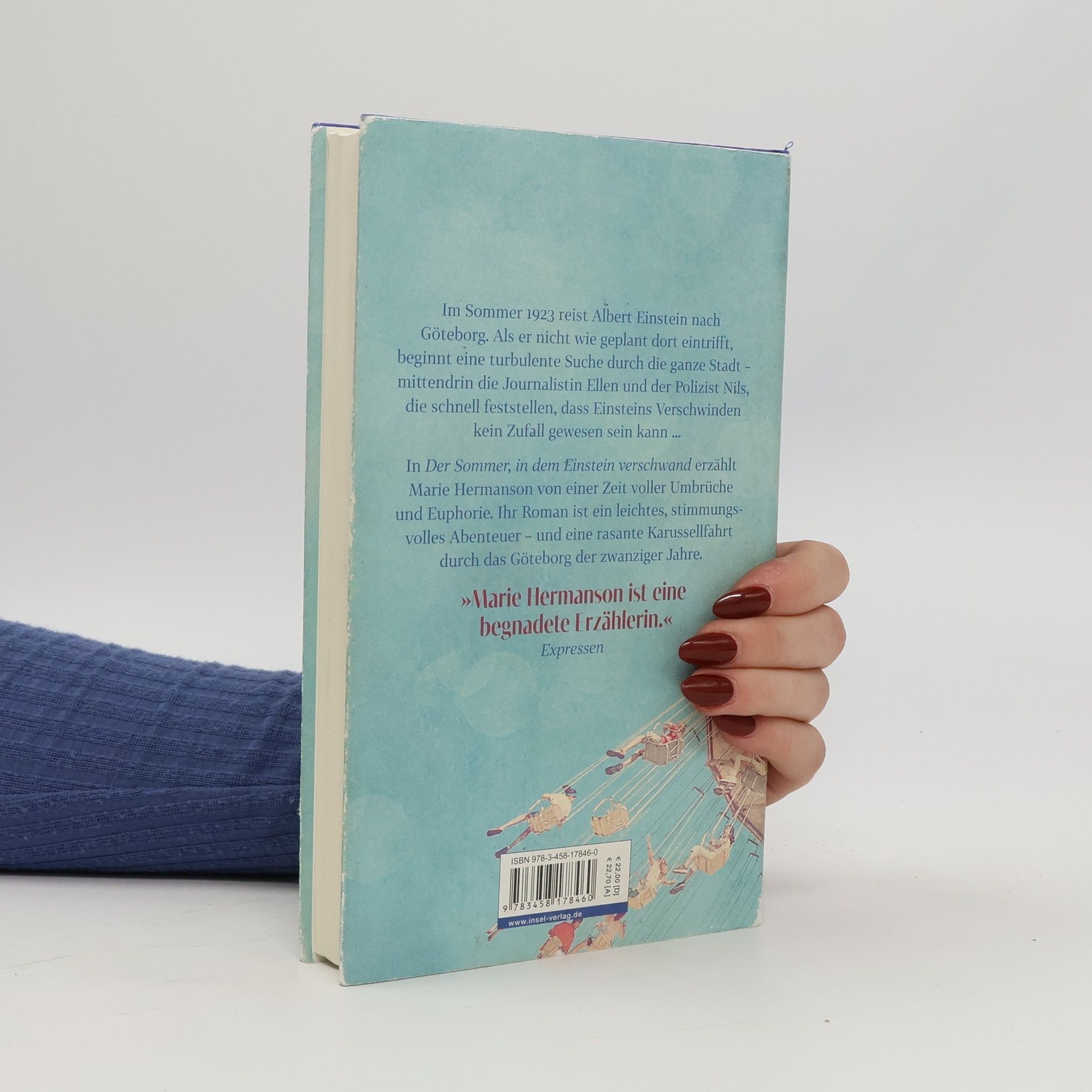 Marie Hermanson Der Sommer, in dem Einstein verschwand