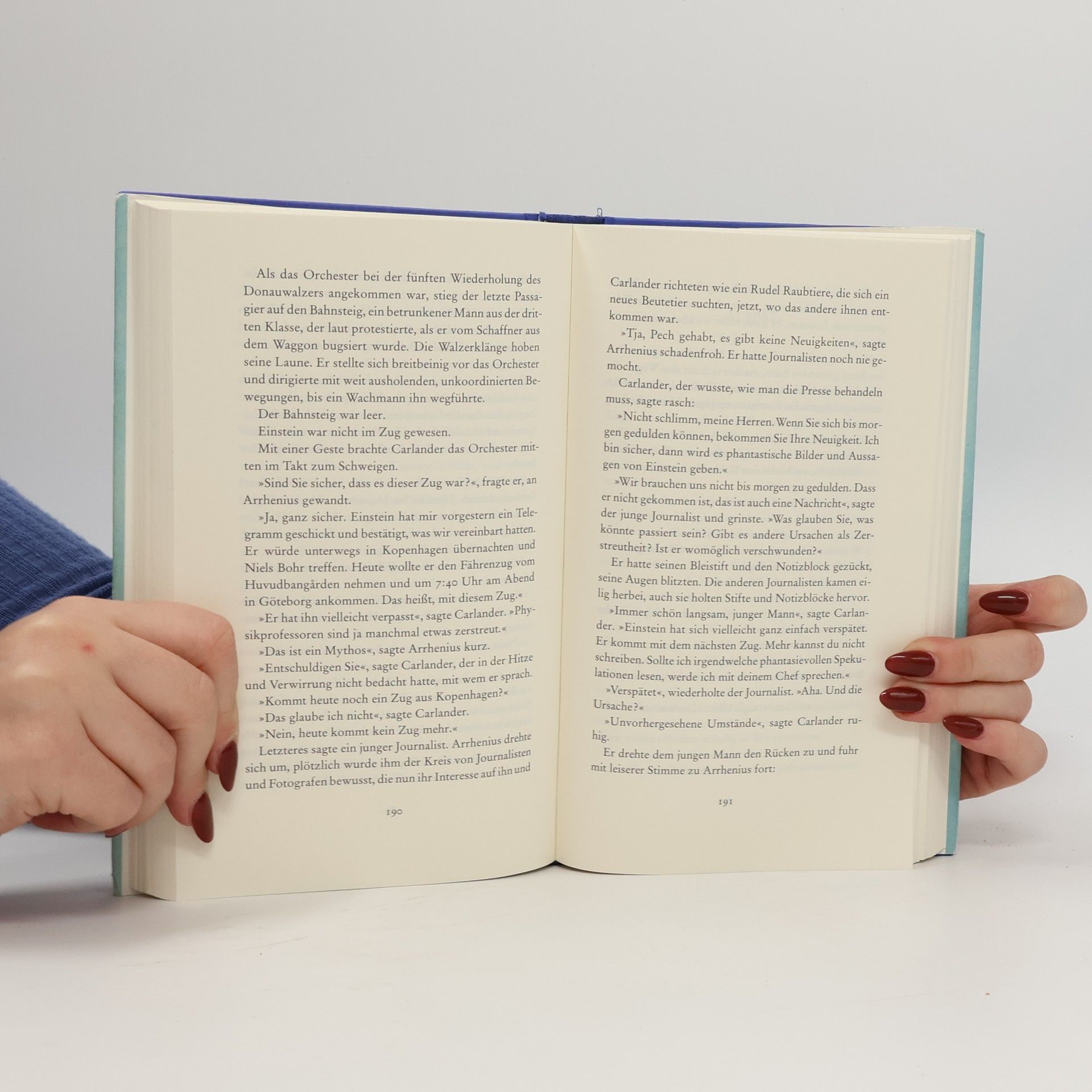 Marie Hermanson Der Sommer, in dem Einstein verschwand