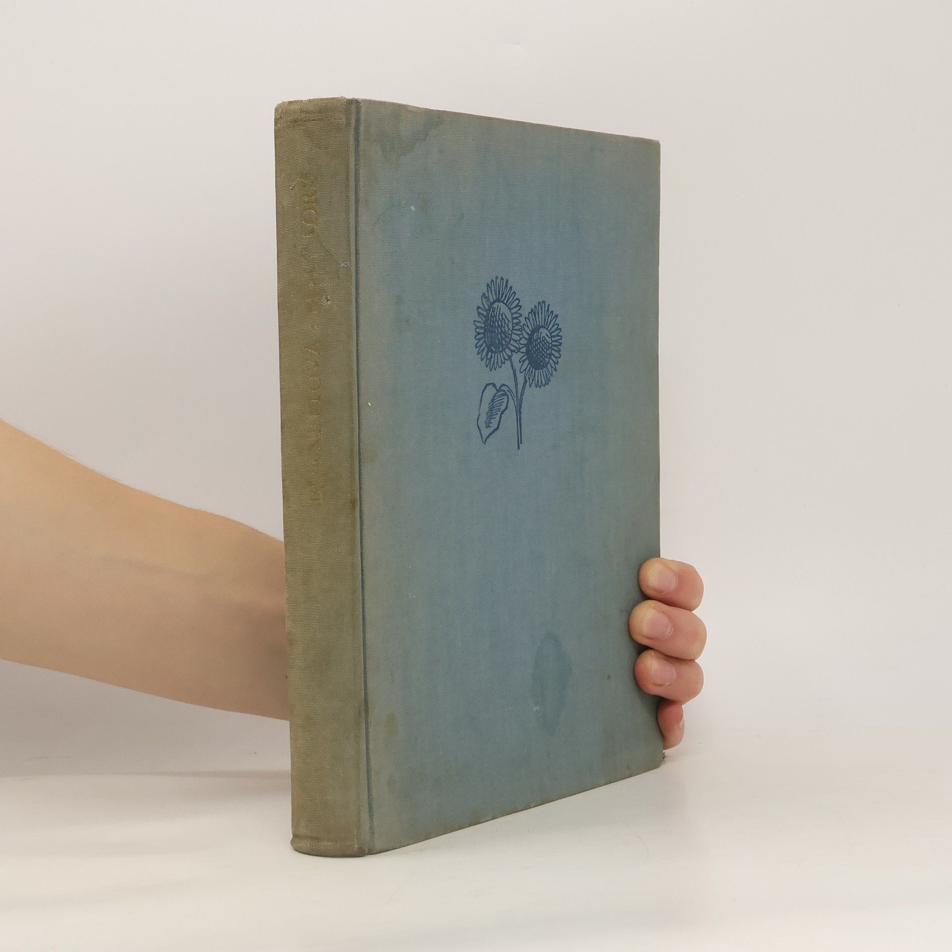 Frances Hodgson Burnett Malý lord