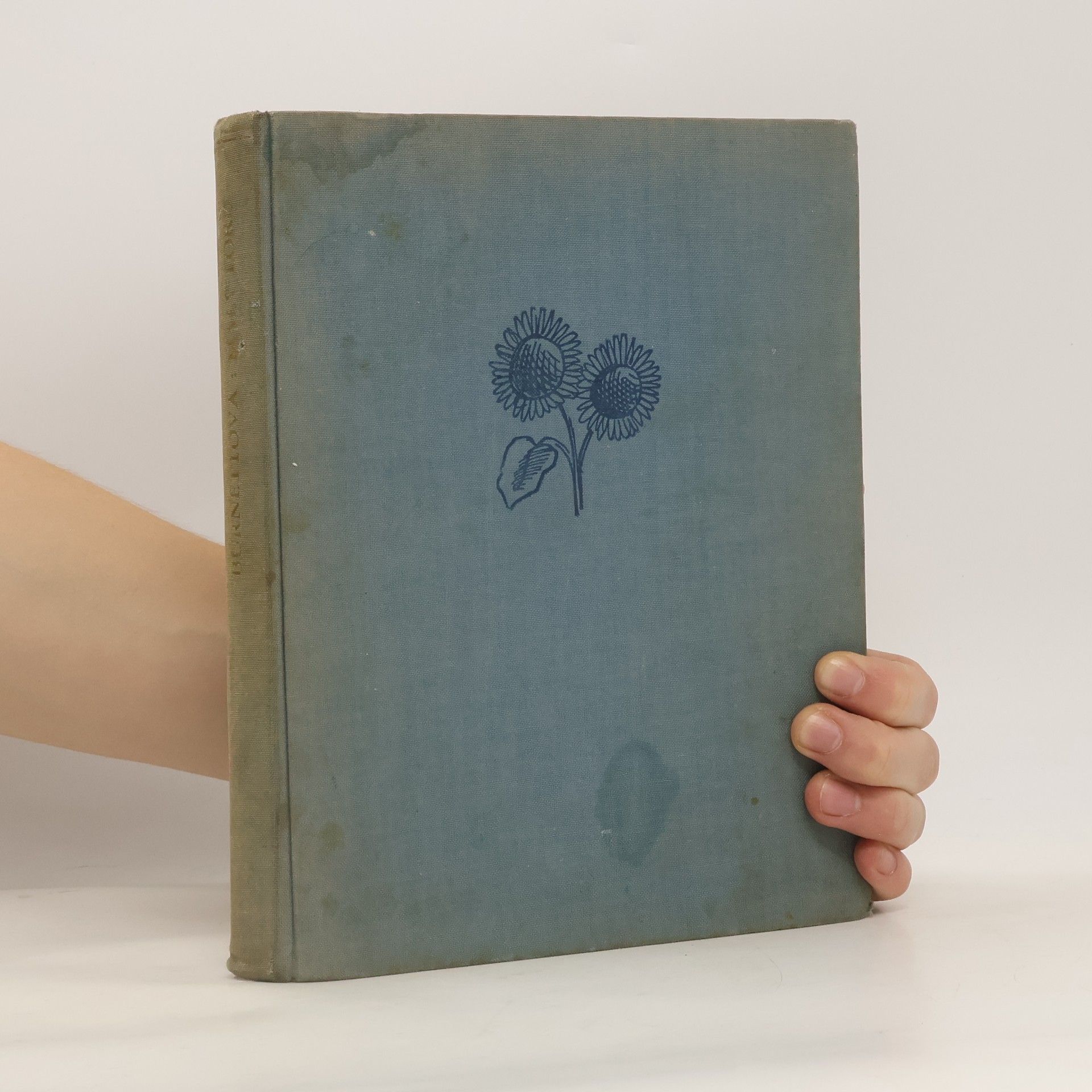 Frances Hodgson Burnett Malý lord