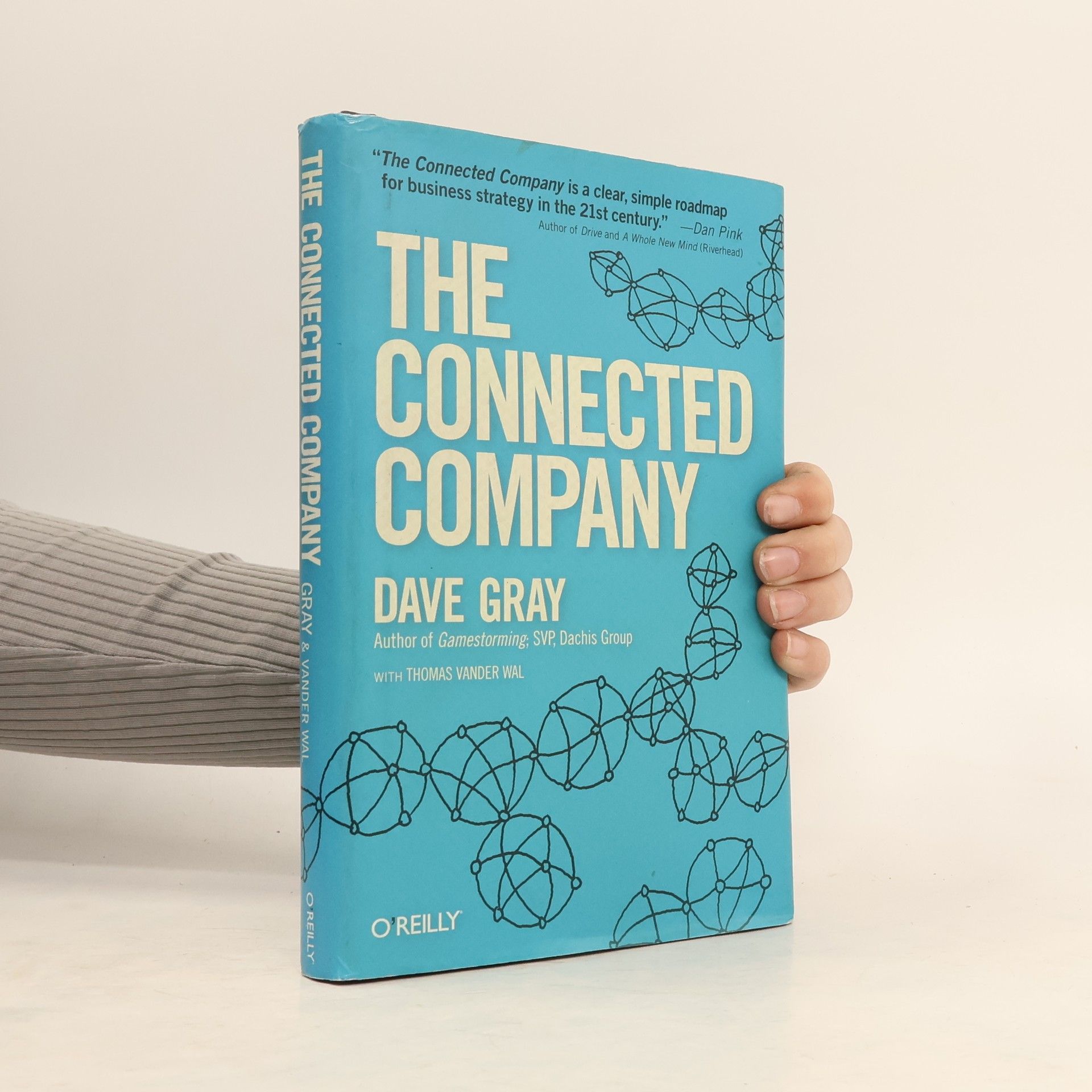 David Gray The Connected Company