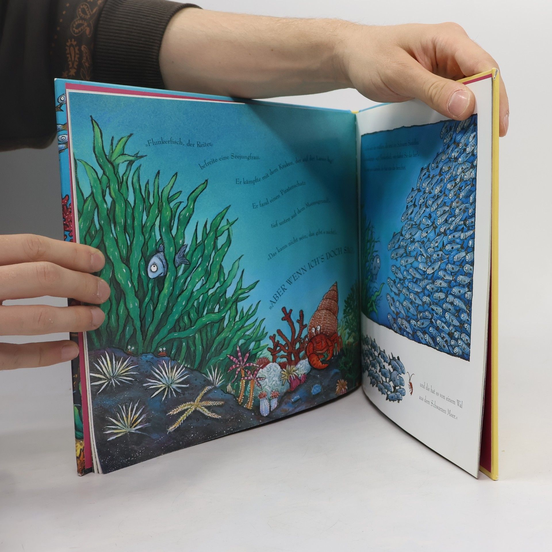 Axel Scheffler Flunkerfisch
