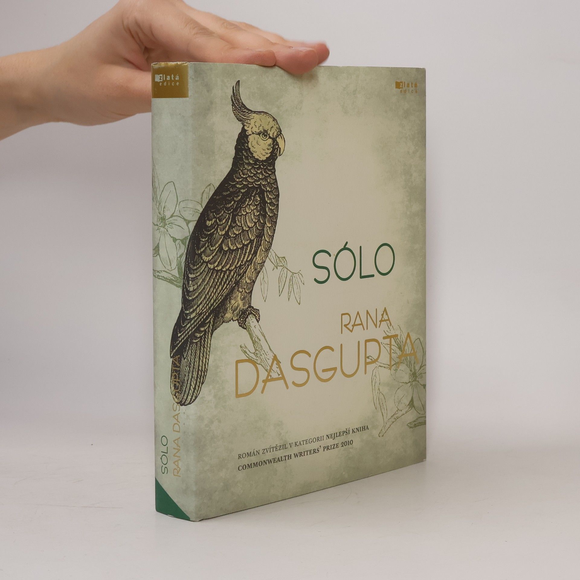 Rana Dasgupta Sólo