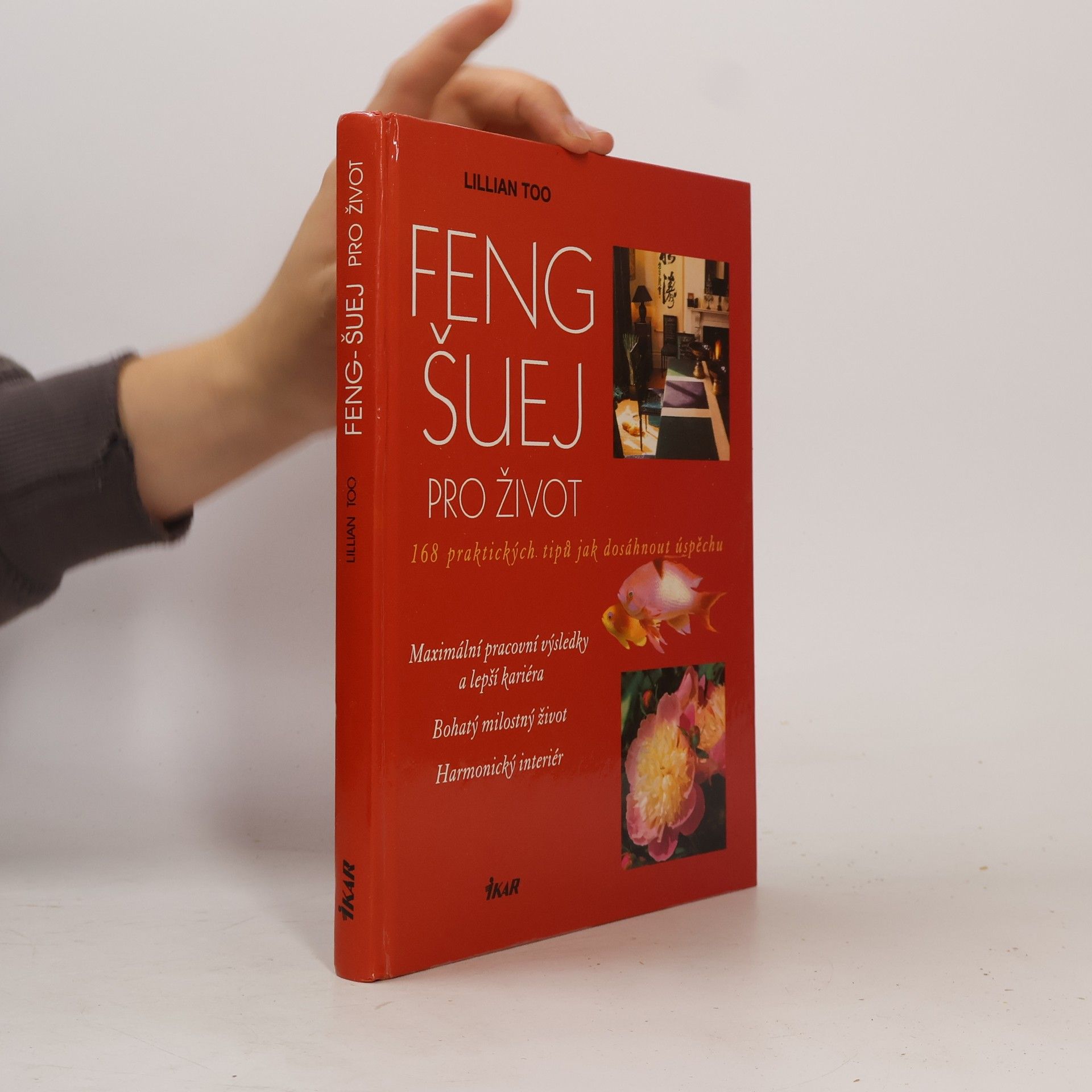 Feng-šuej pro život. 168 praktických tipů jak dosáhnout úspěchu