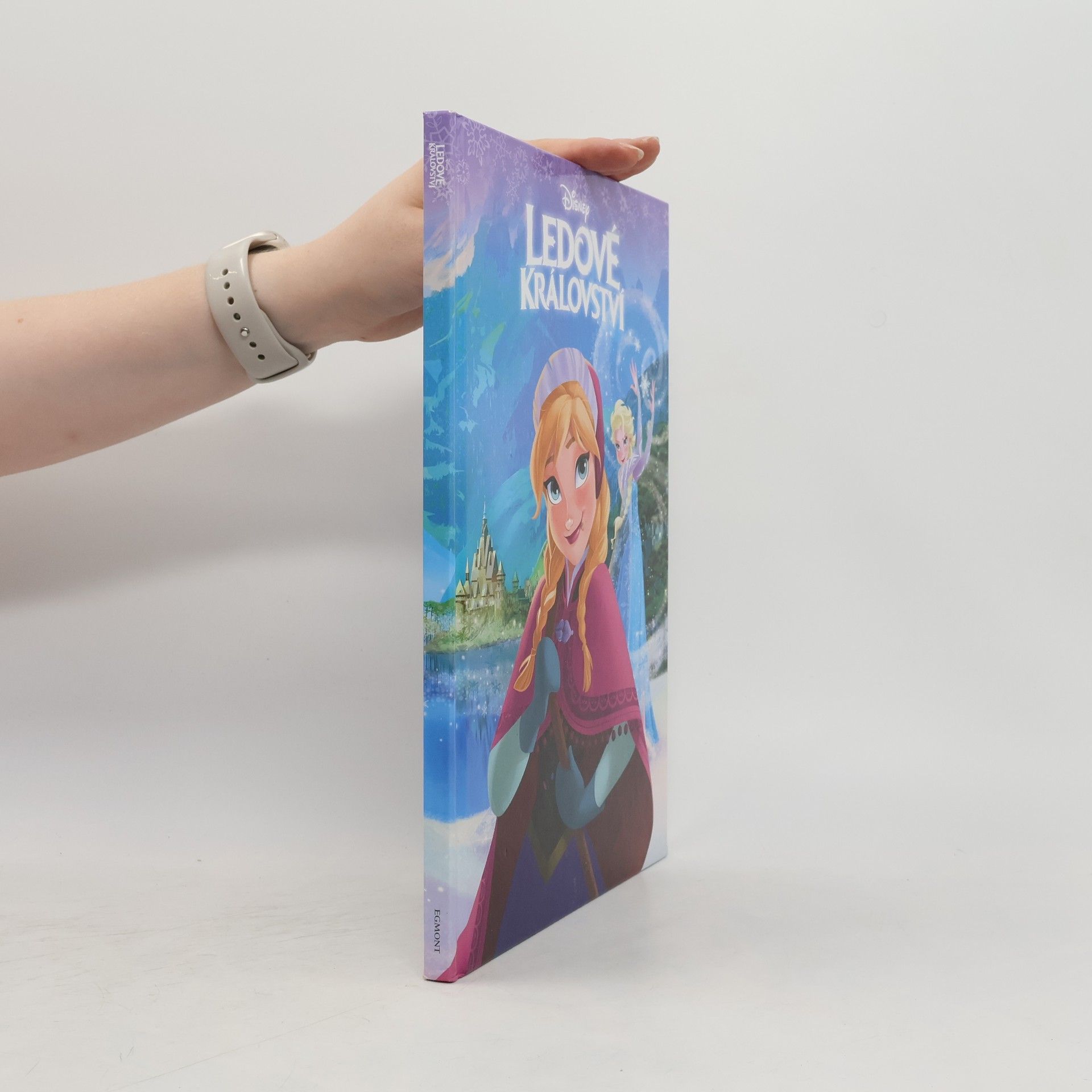 Collectif d'auteurs Ledové království