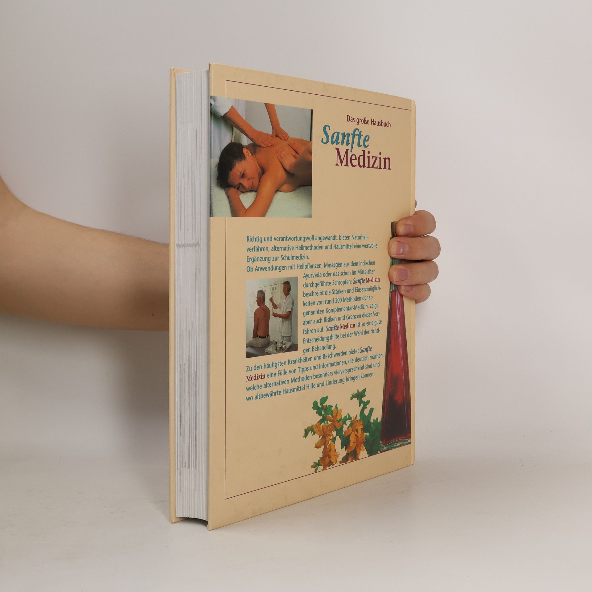 Doro Kammerer Das große Hausbuch Sanfte Medizin