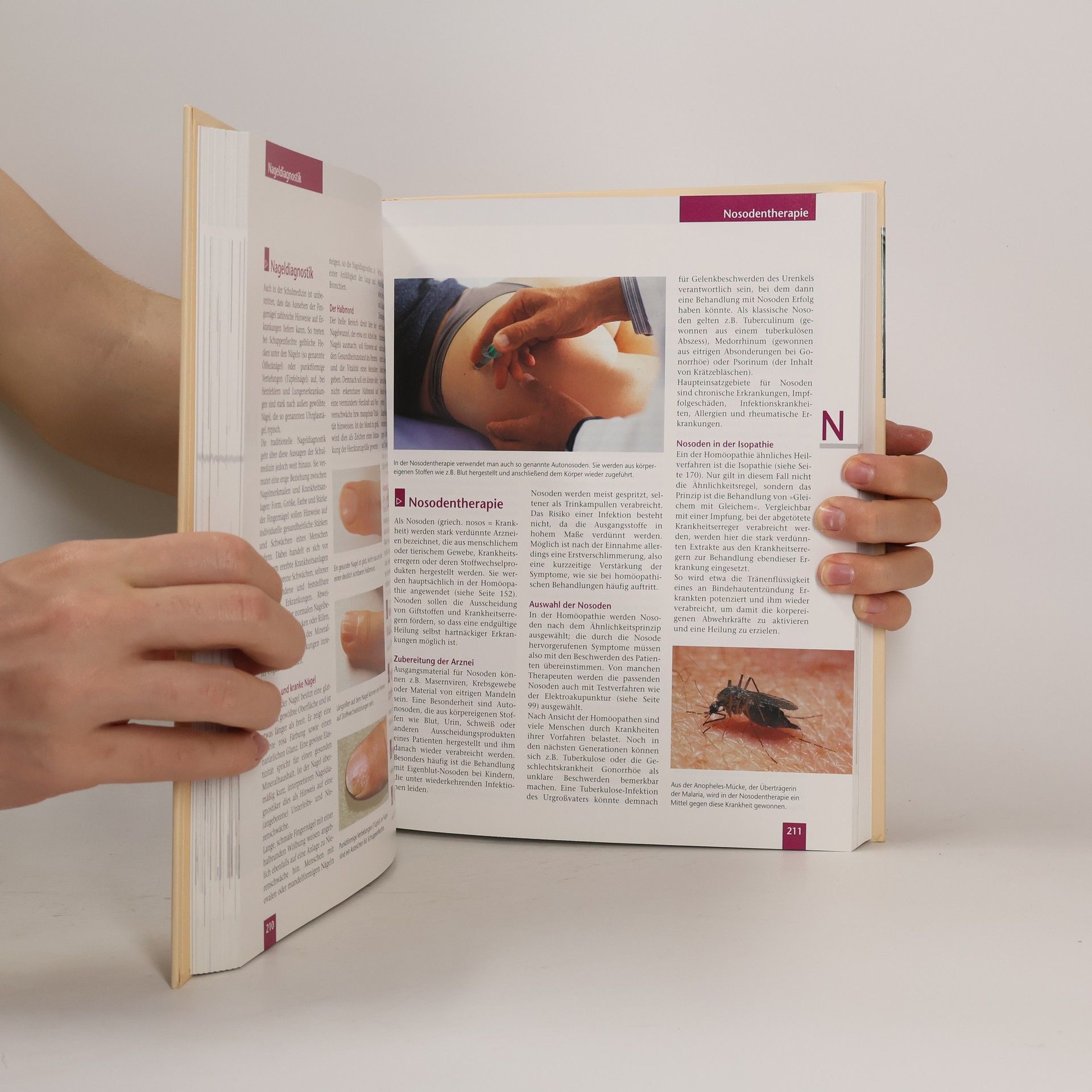 Doro Kammerer Das große Hausbuch Sanfte Medizin