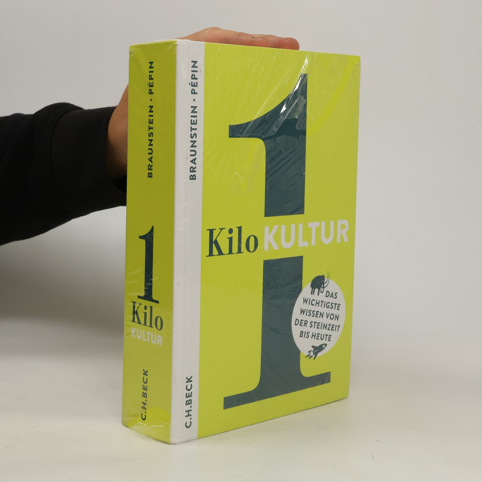 Autorenkollektiv 1 Kilo Kultur : das wichtigste Wissen von der Steinzeit bis heute
