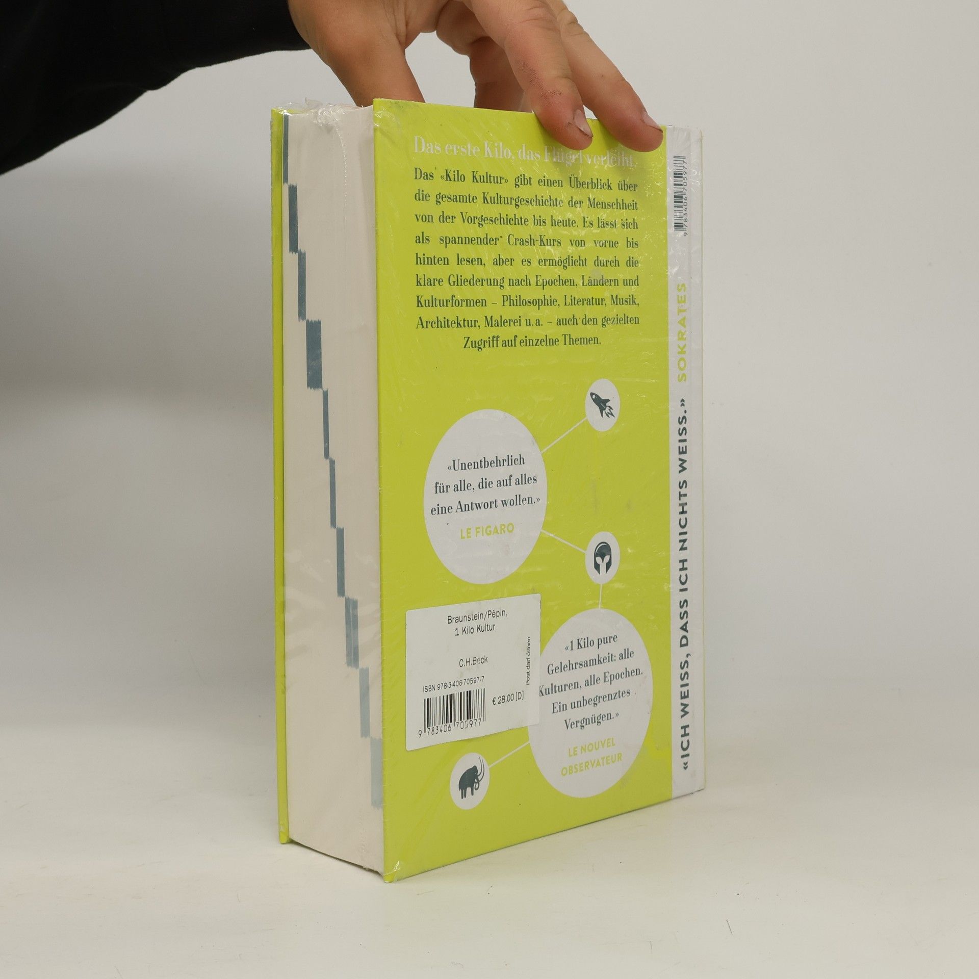 Autorenkollektiv 1 Kilo Kultur : das wichtigste Wissen von der Steinzeit bis heute