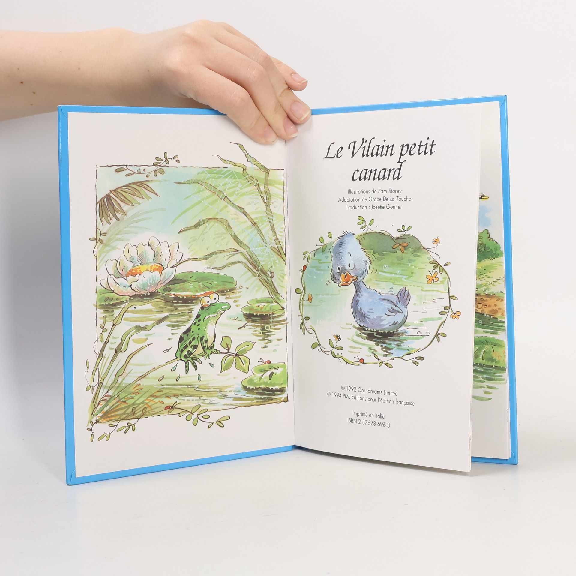 Le Vilain petit canard