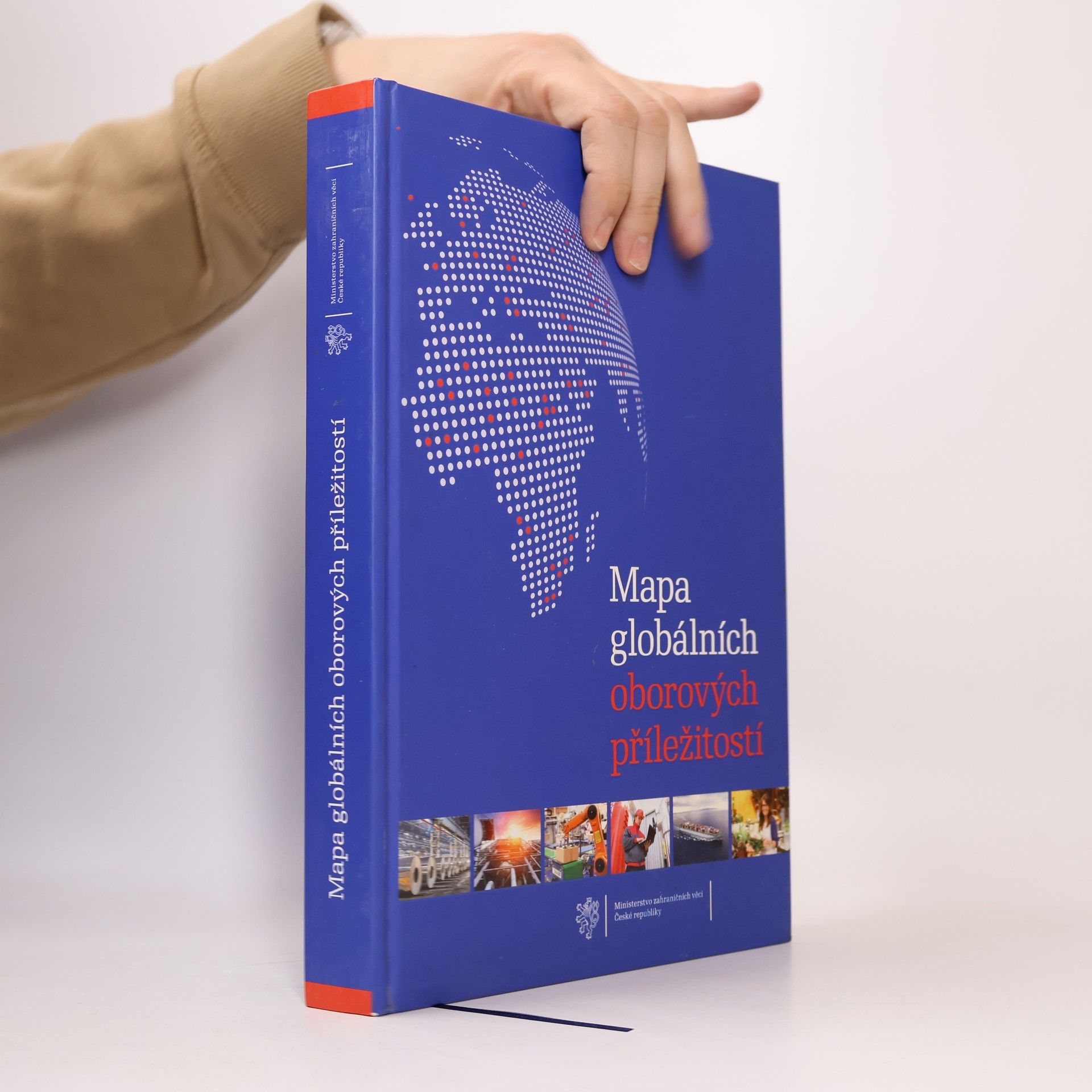 Various authors Mapa globálních oborových příležitostí
