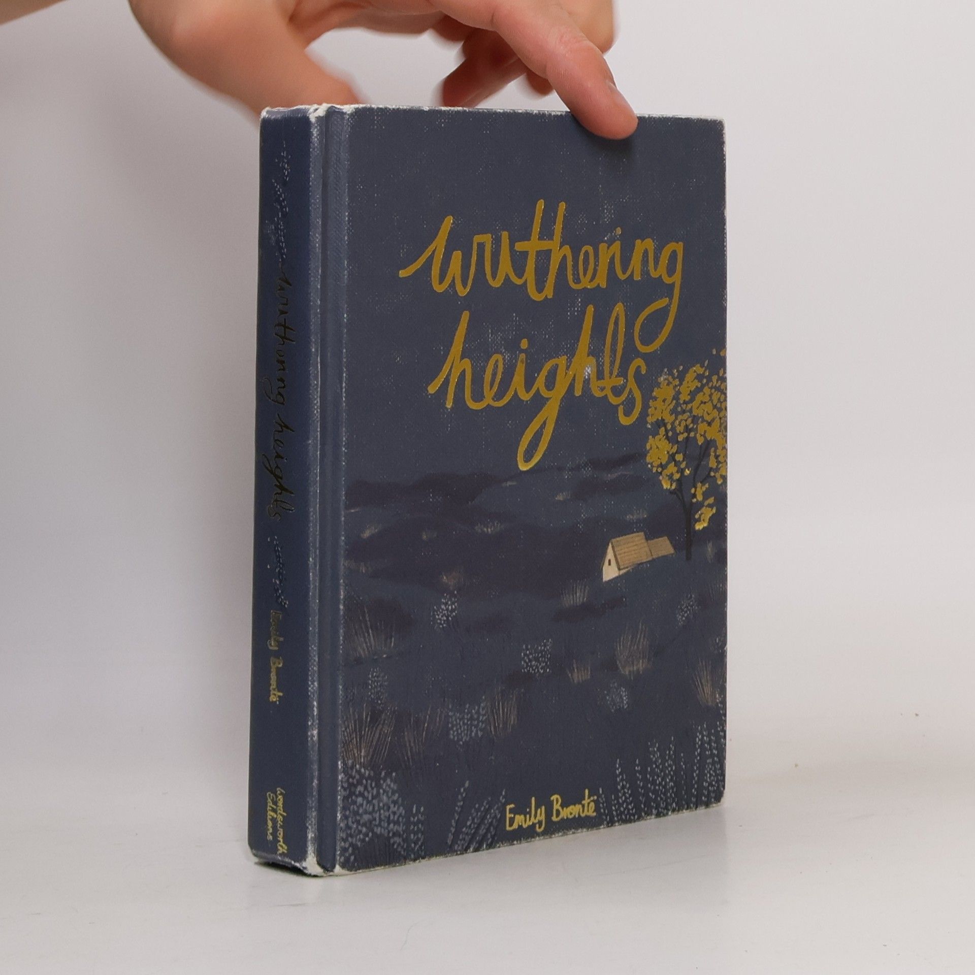 Emily Brontë Wuthering Heights