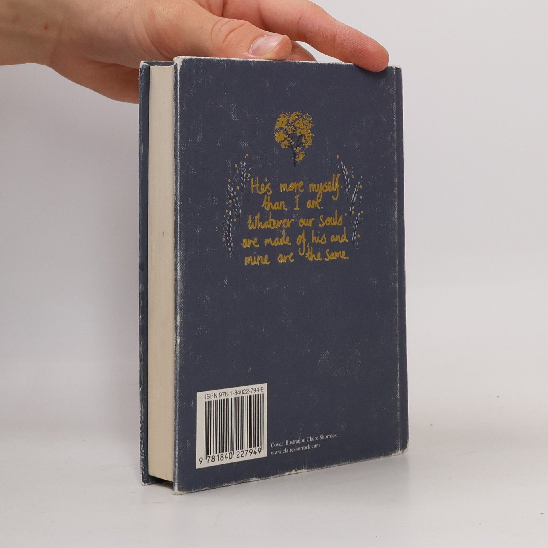 Emily Brontë Wuthering Heights