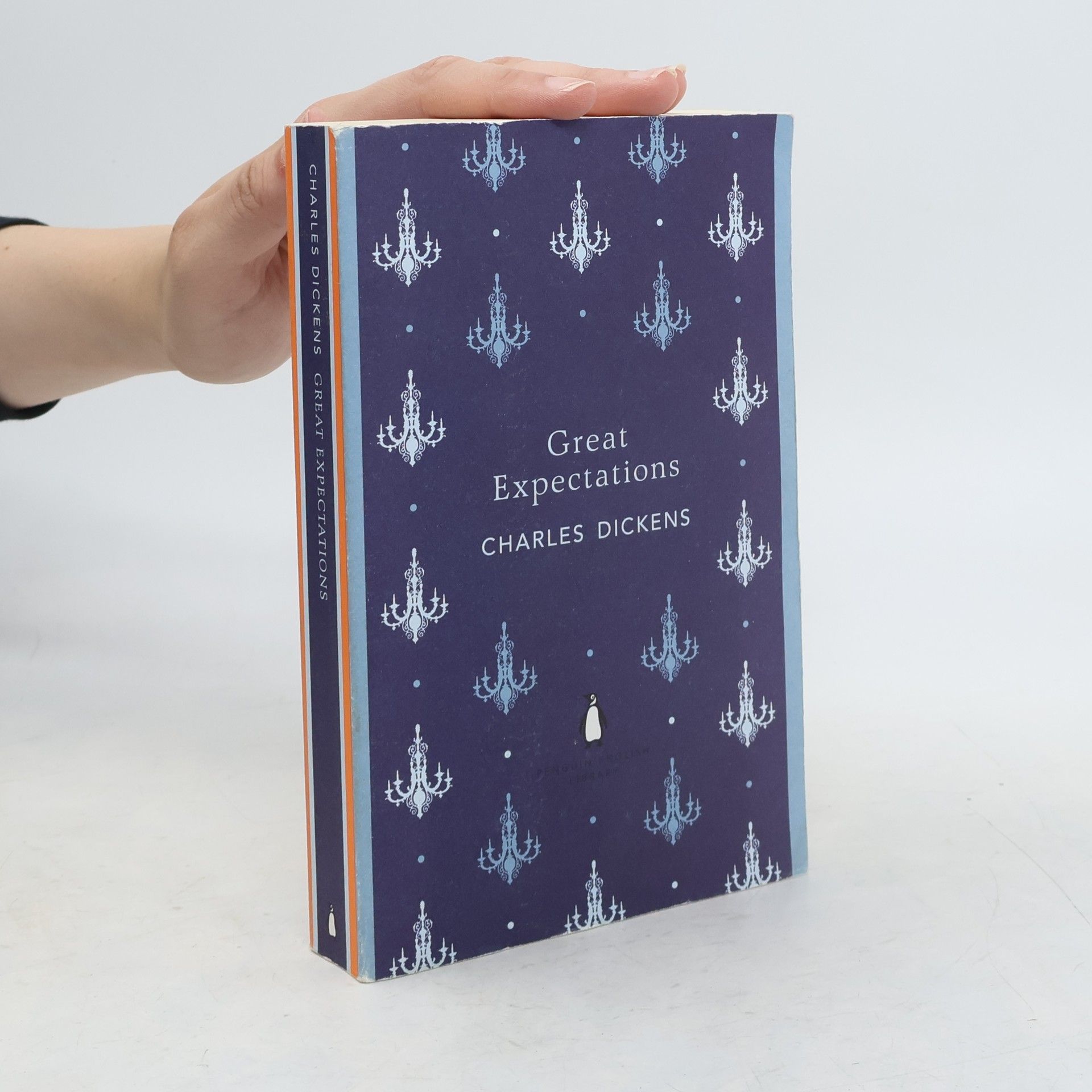 Charles Dickens Great Expectations