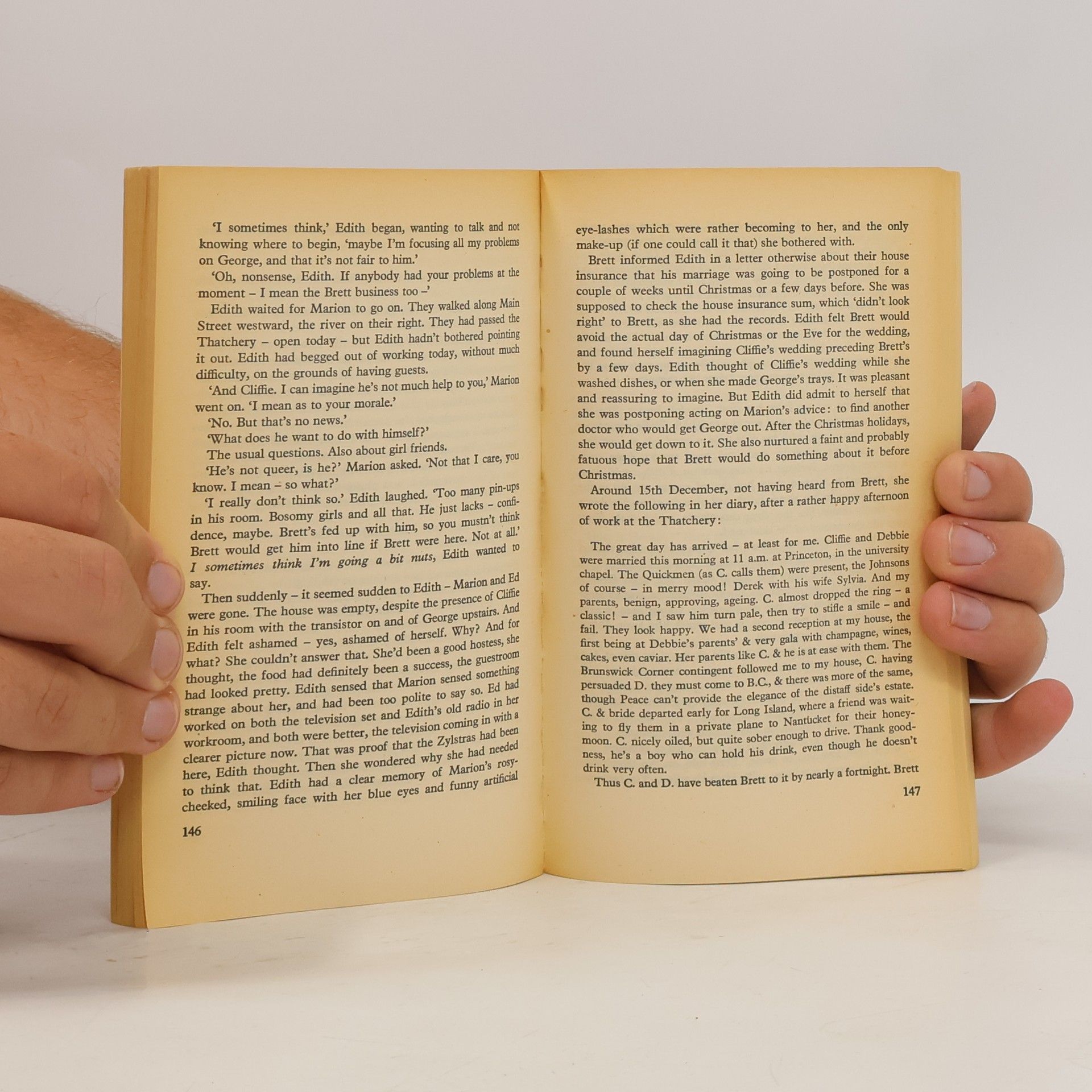 Patricia Highsmith Edith's diary