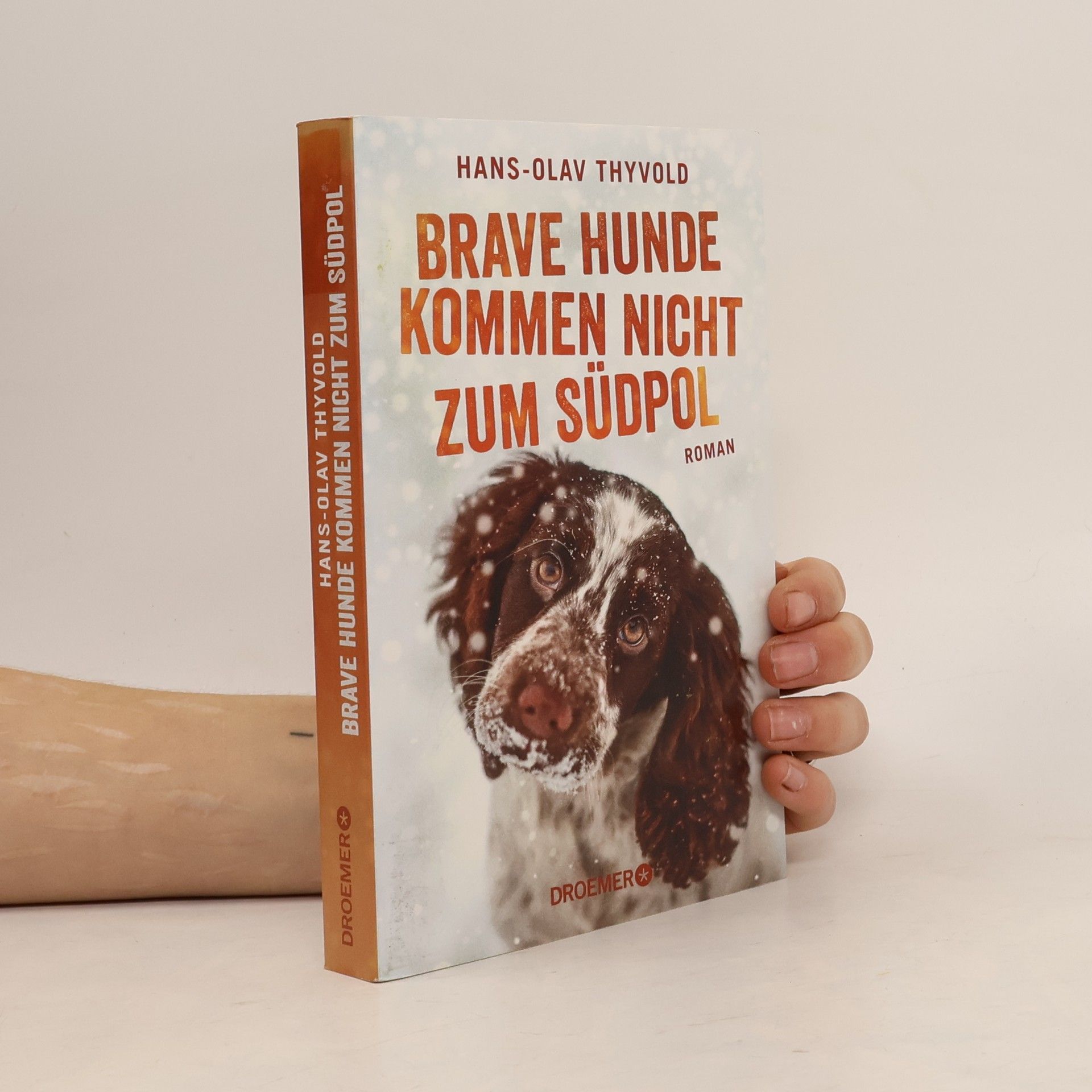 Hans Olav Thyvold Brave Hunde kommen nicht zum Südpol