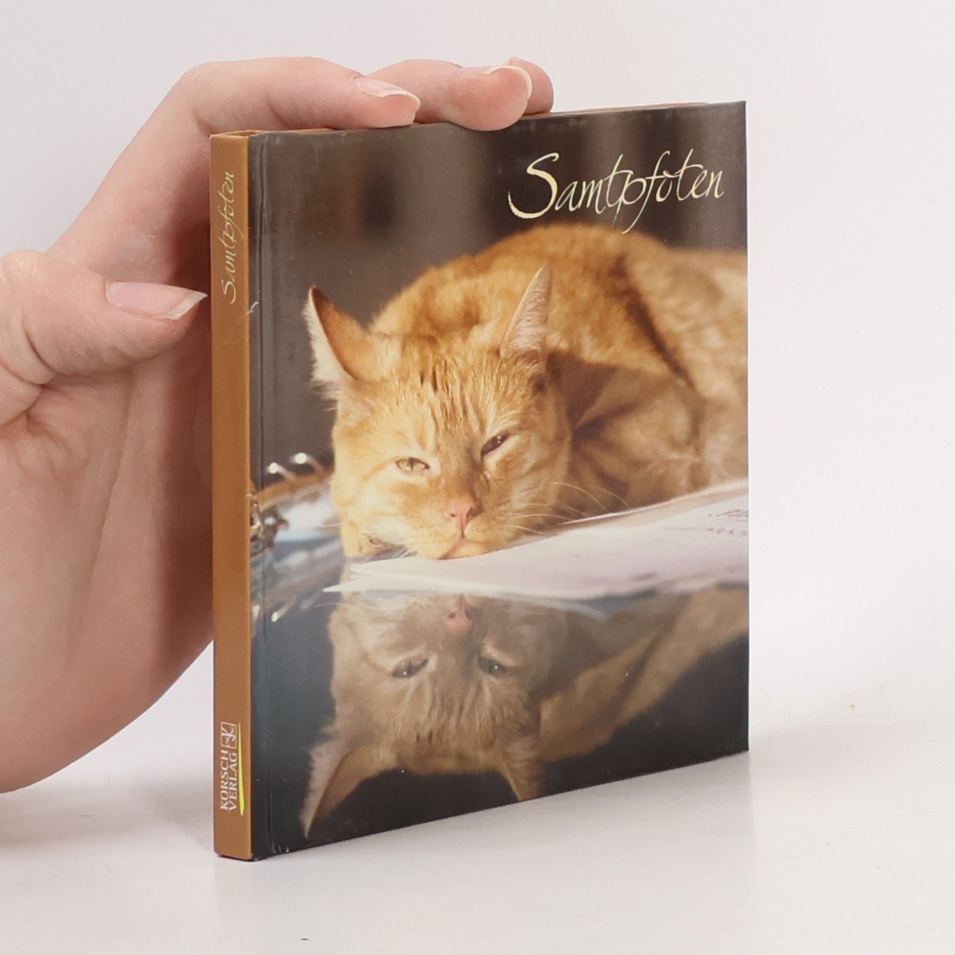 Collectif d'auteurs Samtpfoten