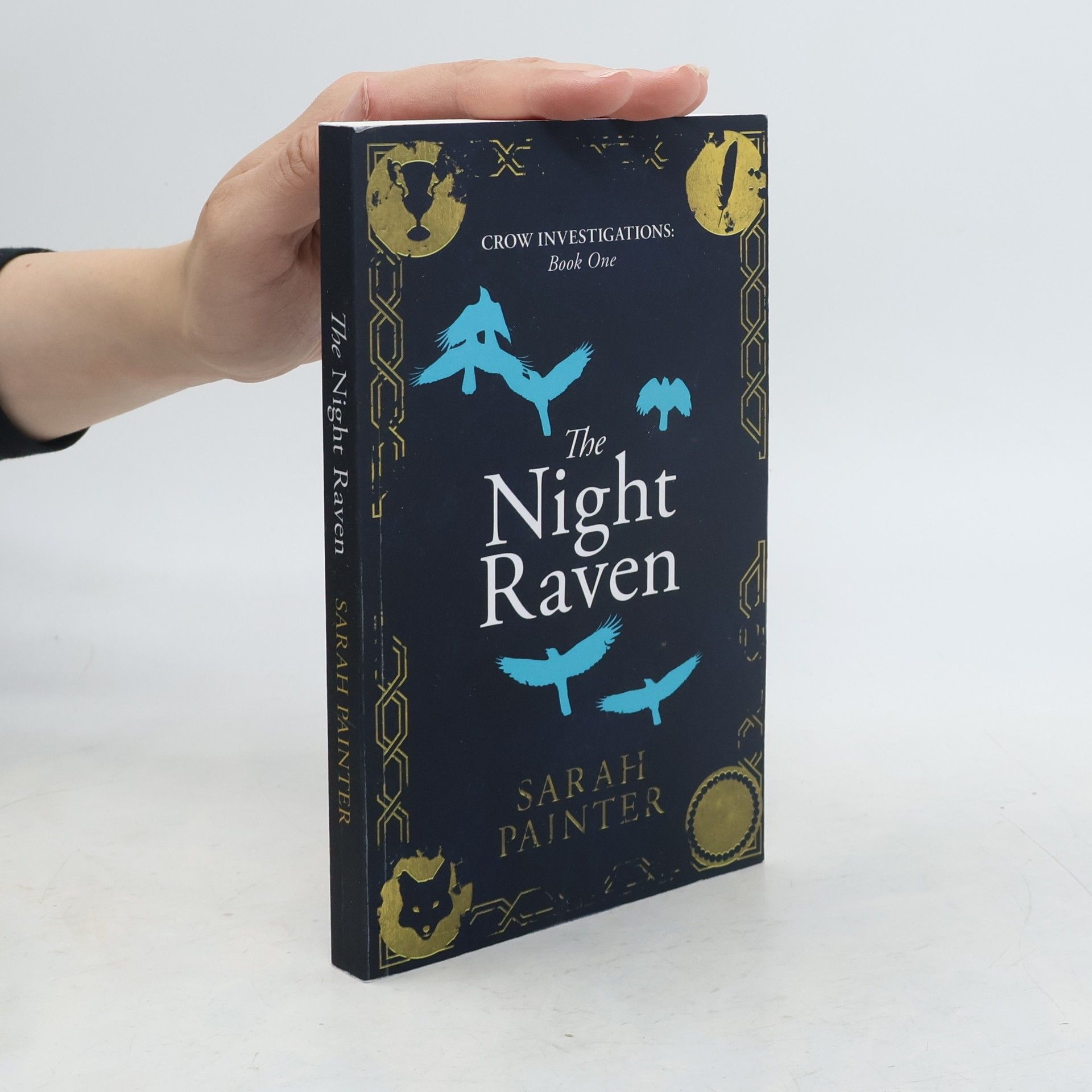 Sarah Painter The Night Raven