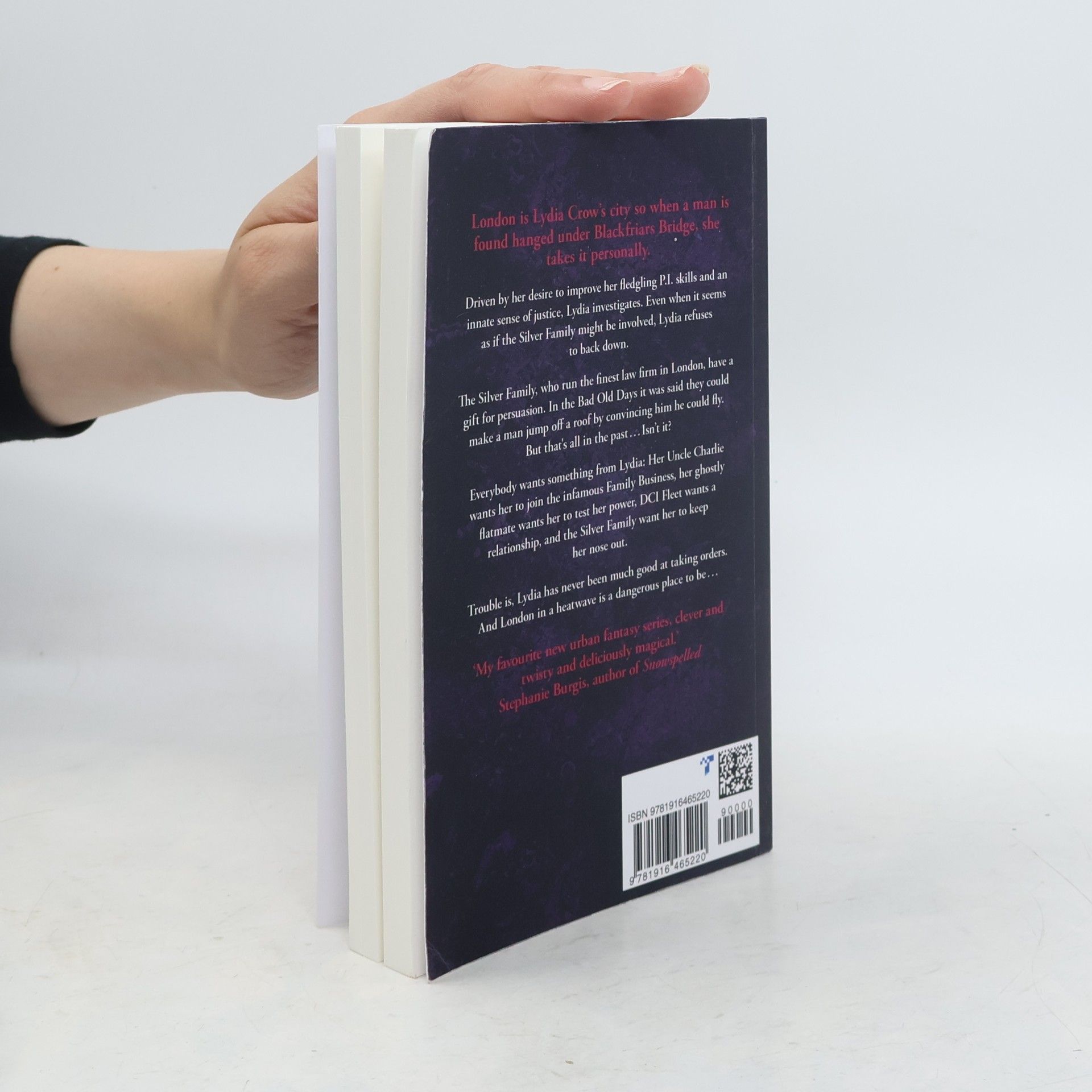 Sarah Painter Crow Investigations - 2: The Silver Mark