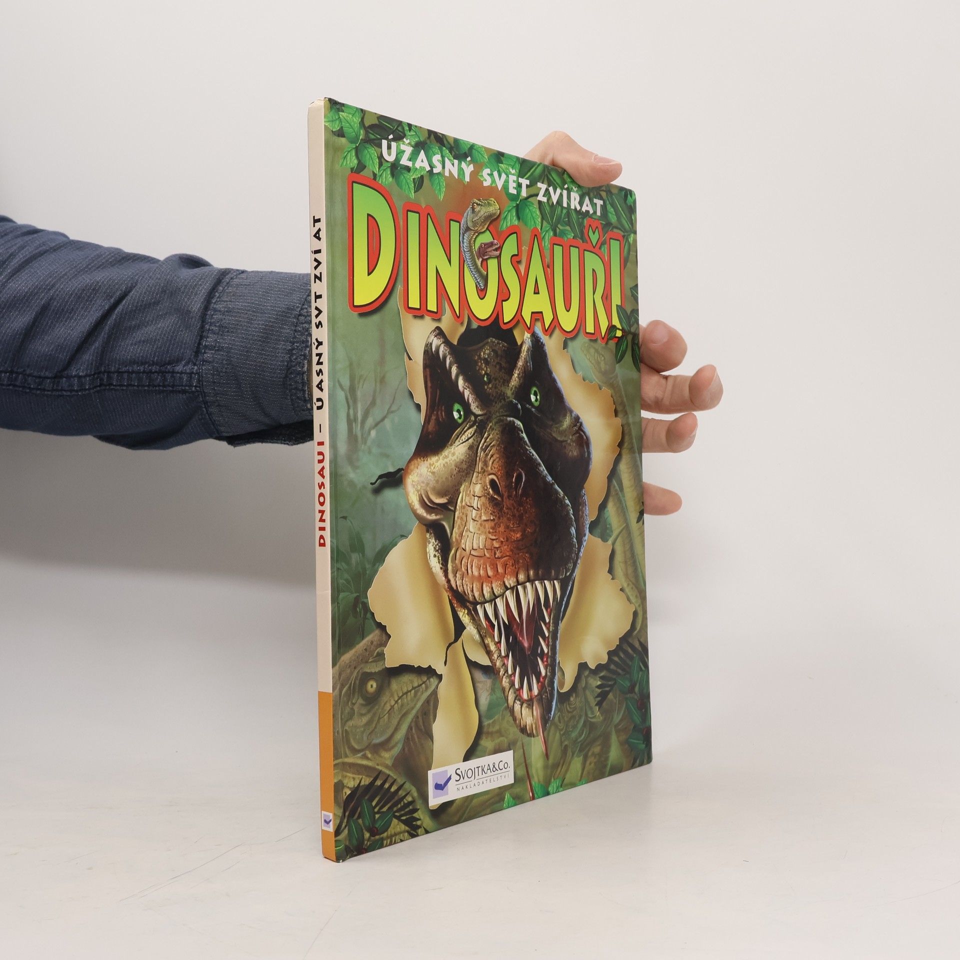 Martin Hrubeš Dinosauři : úžasný svět zvířat