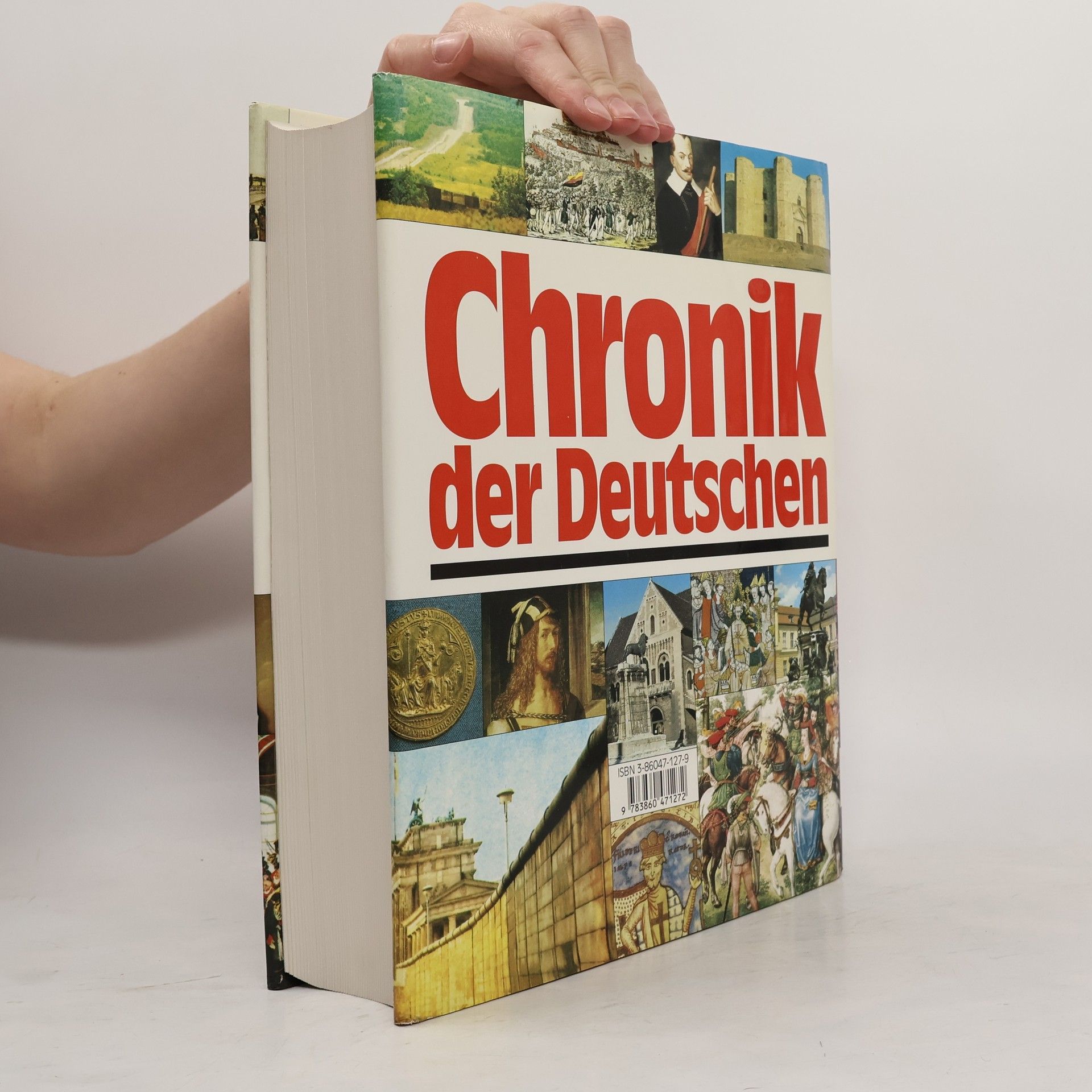 Brigitte Beier Chronik der Deutschen
