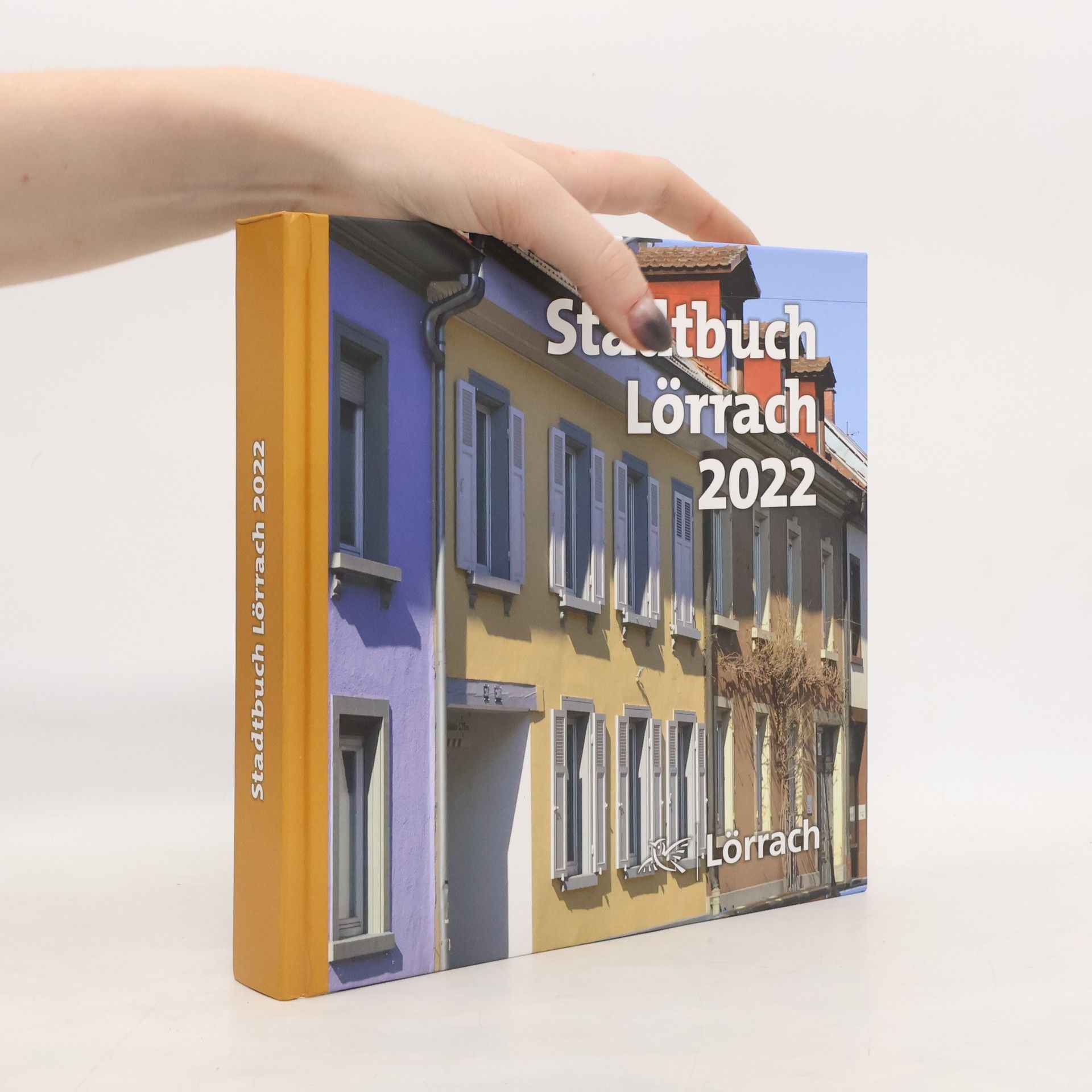 Alexander Fessler Stadtbuch Lörrach 2022