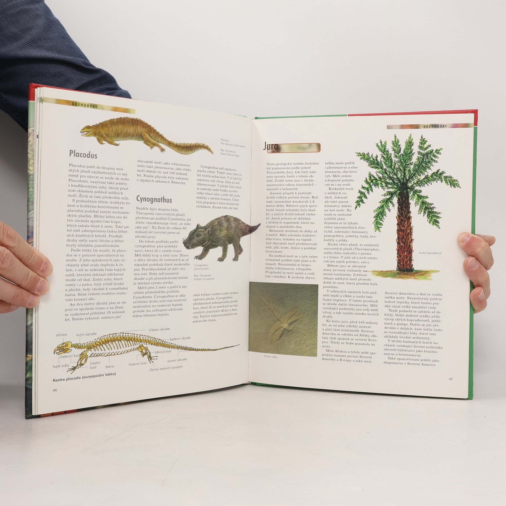 AA.VV. Dinosauři