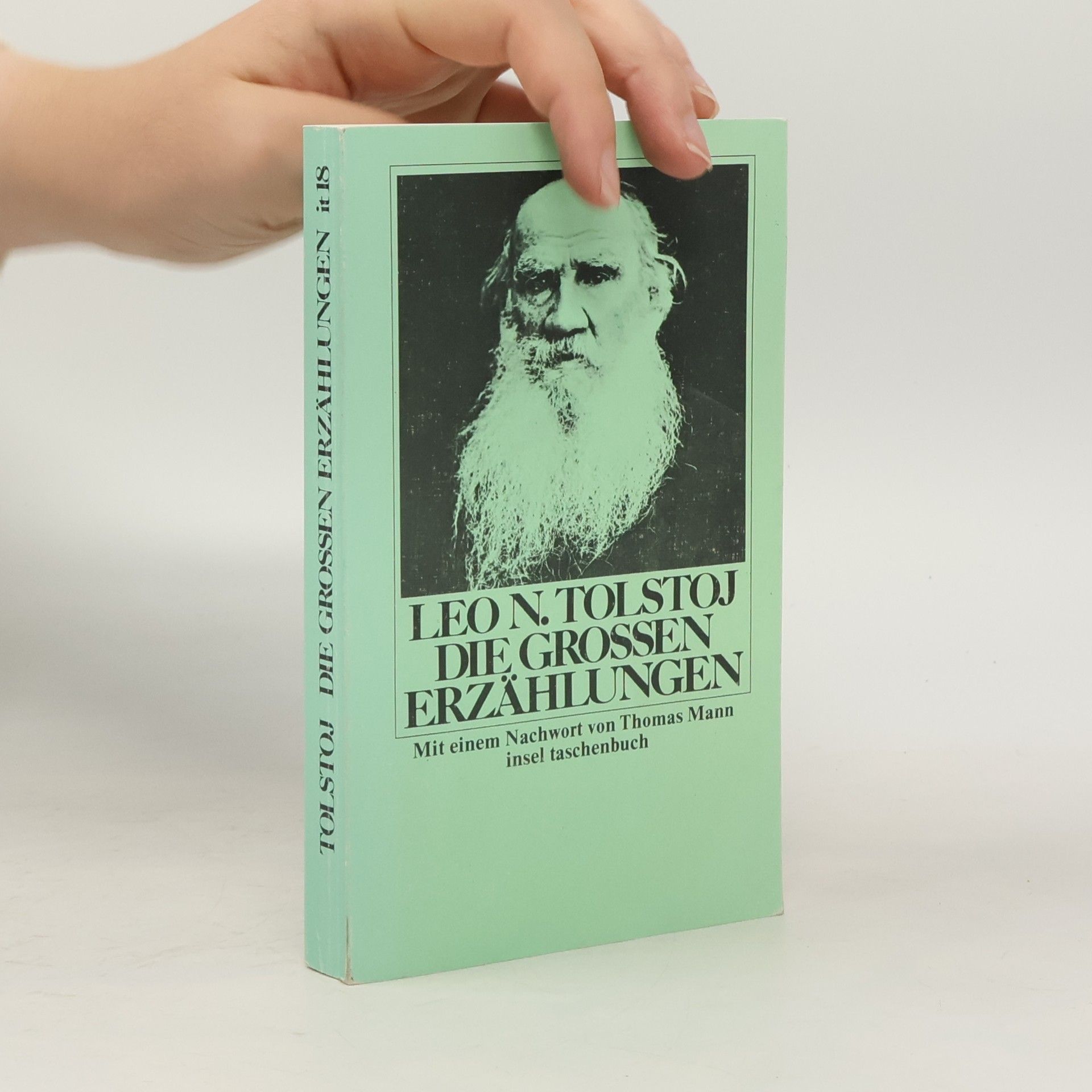 Lev Nikolajevič Tolstoj Die grossen Erzählungen