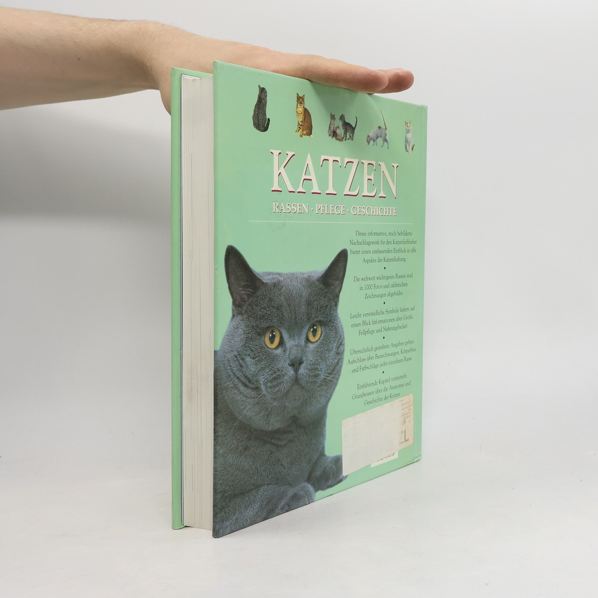 Various authors Katzen. Rassen. Pflege. Geschichte