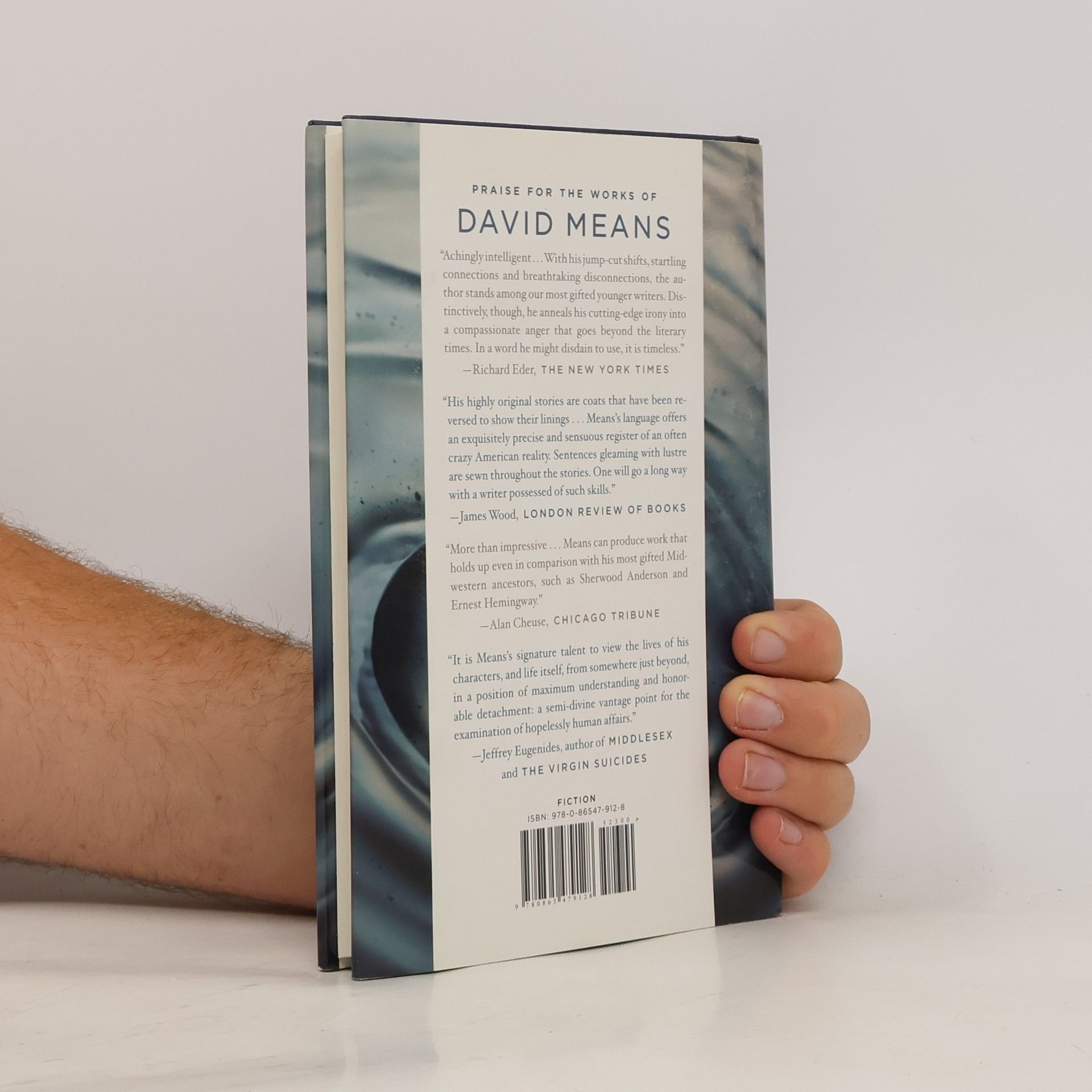 David Means The Spot