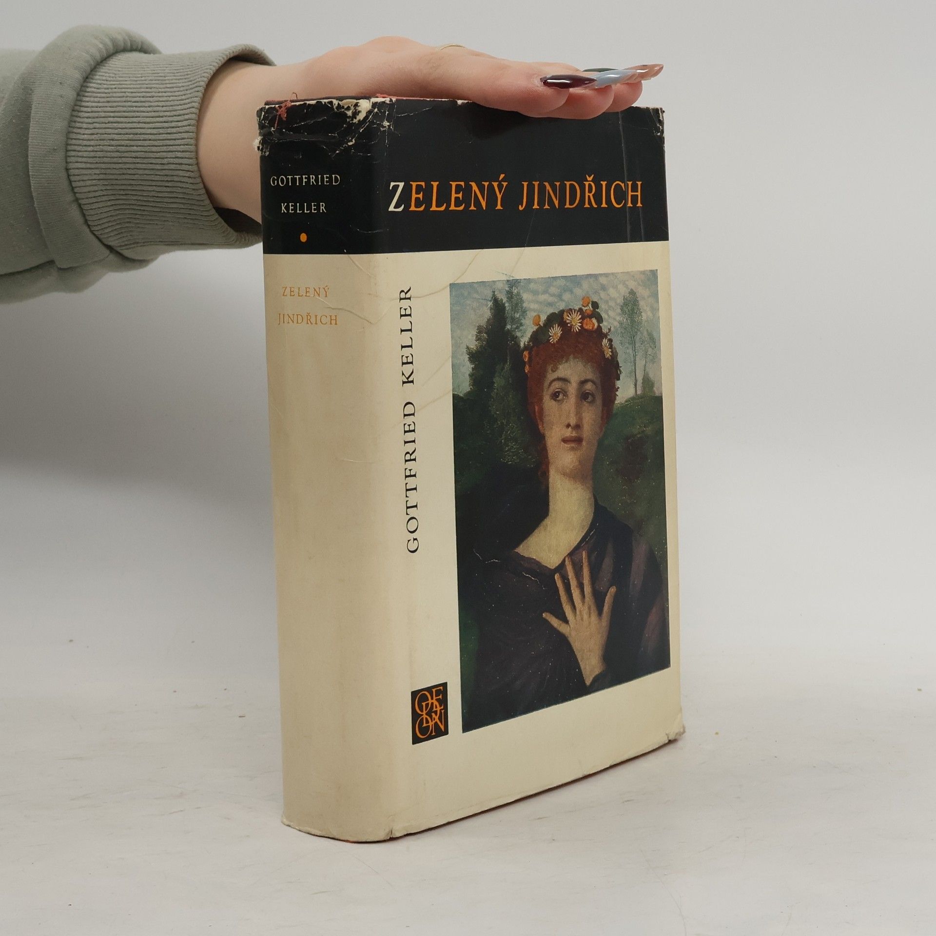 Gottfried Keller Zelený Jindřich
