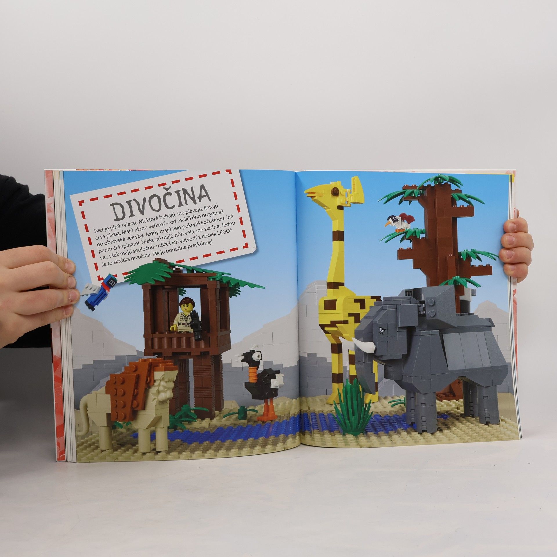 Kolektiv autorů Lego nápady. Najlepšie návody na svete