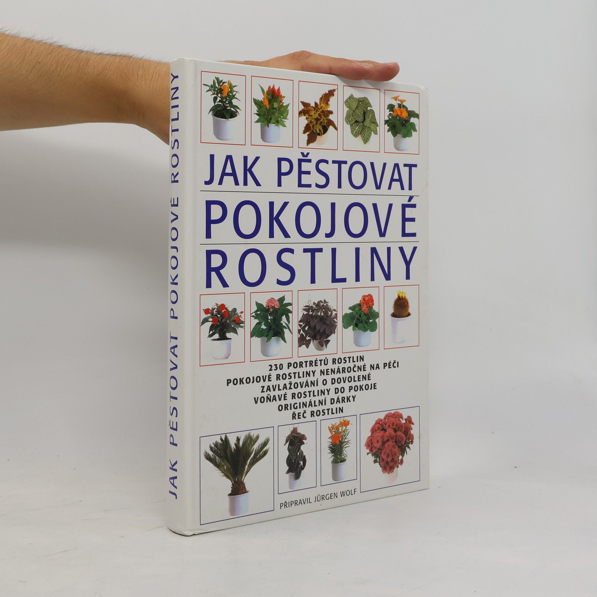 Jürgen Wolff Jak pěstovat pokojové rostliny