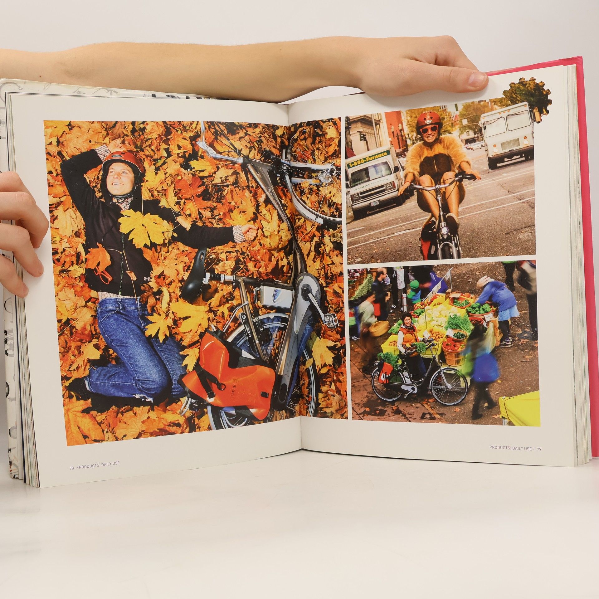 Hannes Neupert The eBike book