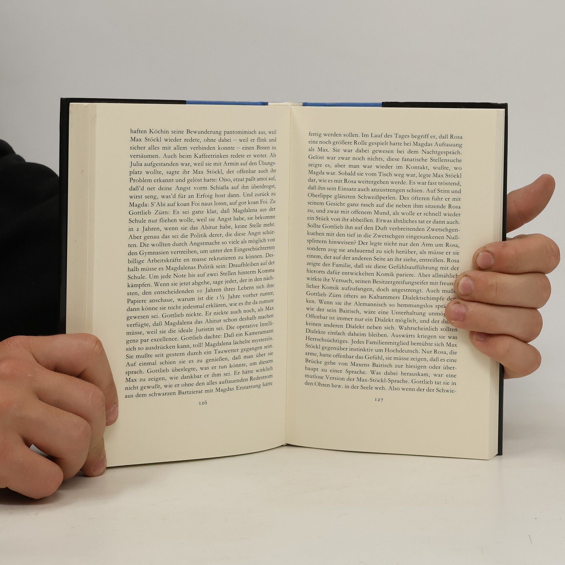 Martin Walser Das Schwanenhaus